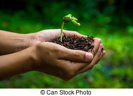 troc de troc besoin de plante pour mon appartement ! image 1