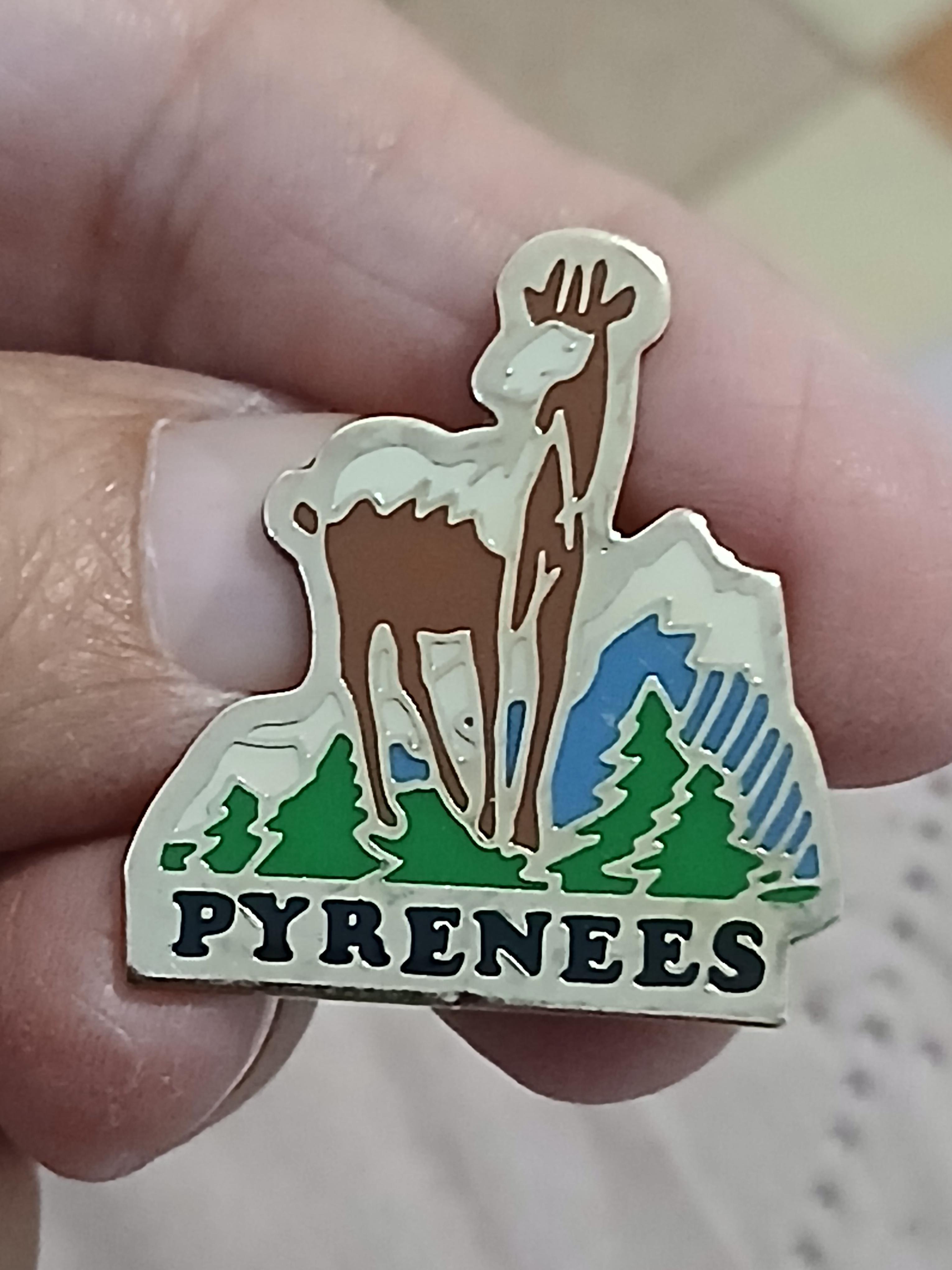 troc de troc un pins image 0