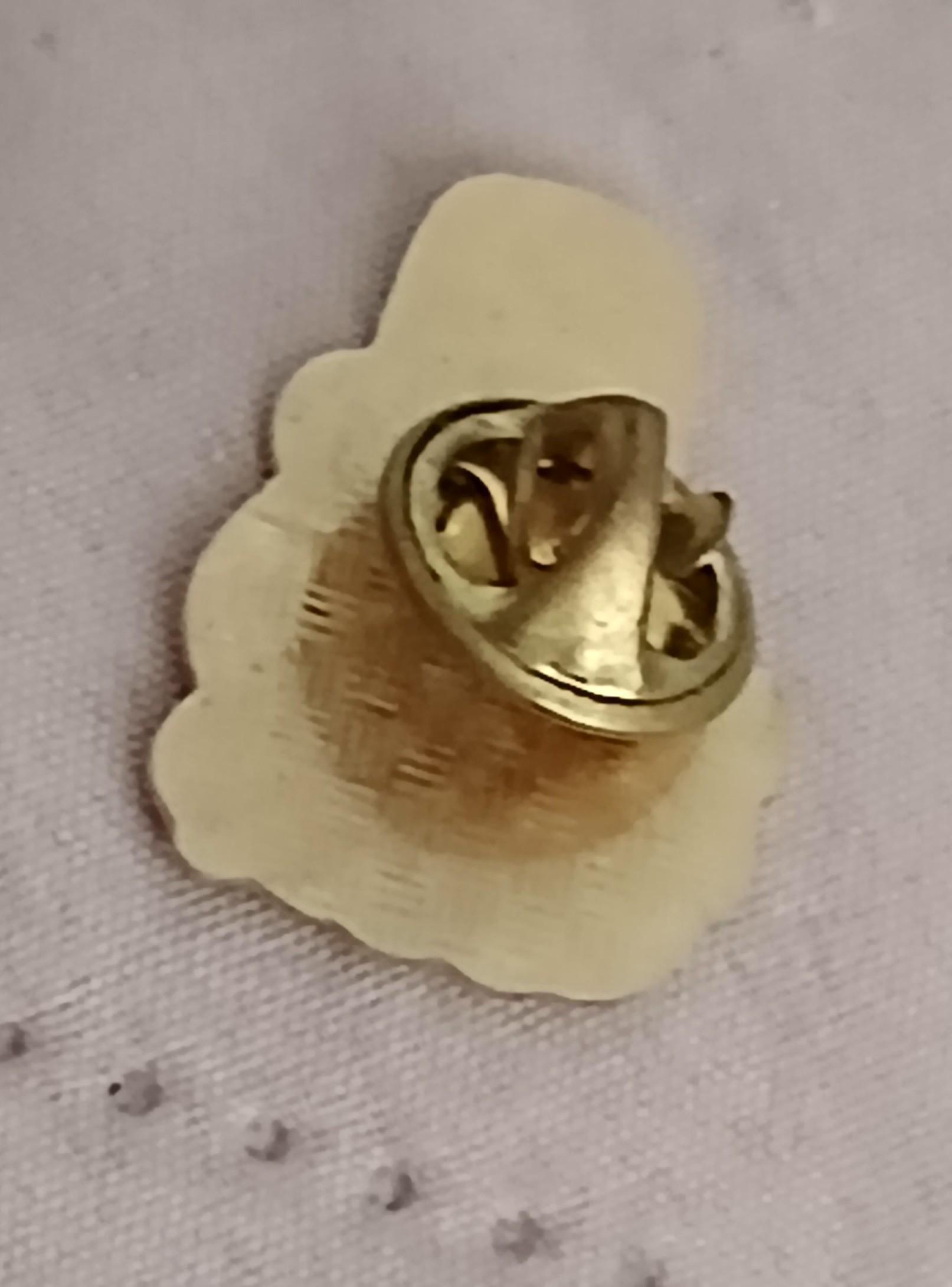 troc de troc un pins image 2