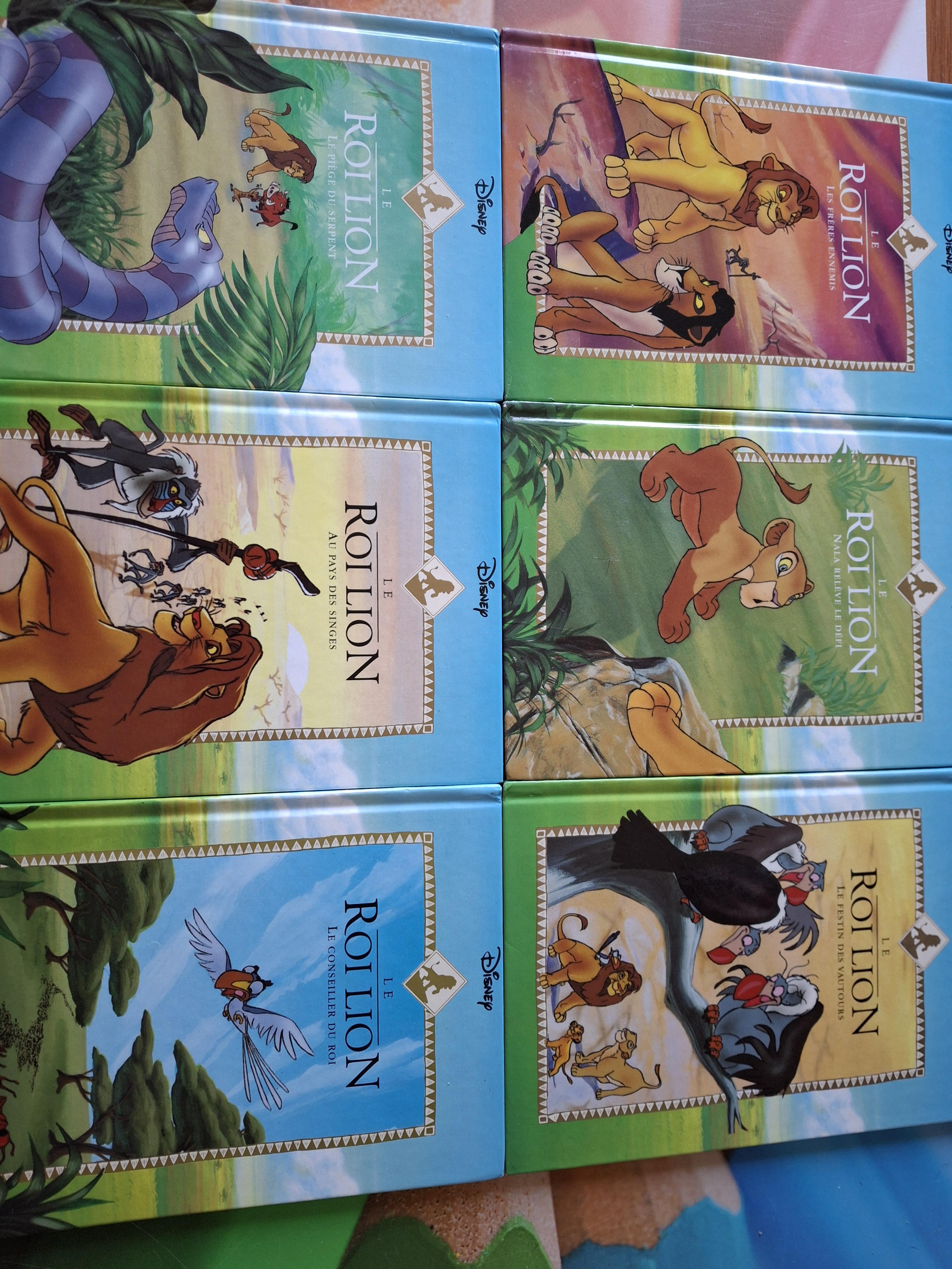 troc de troc lot 6 livres roi lion disney tomes 1 à 6 image 0