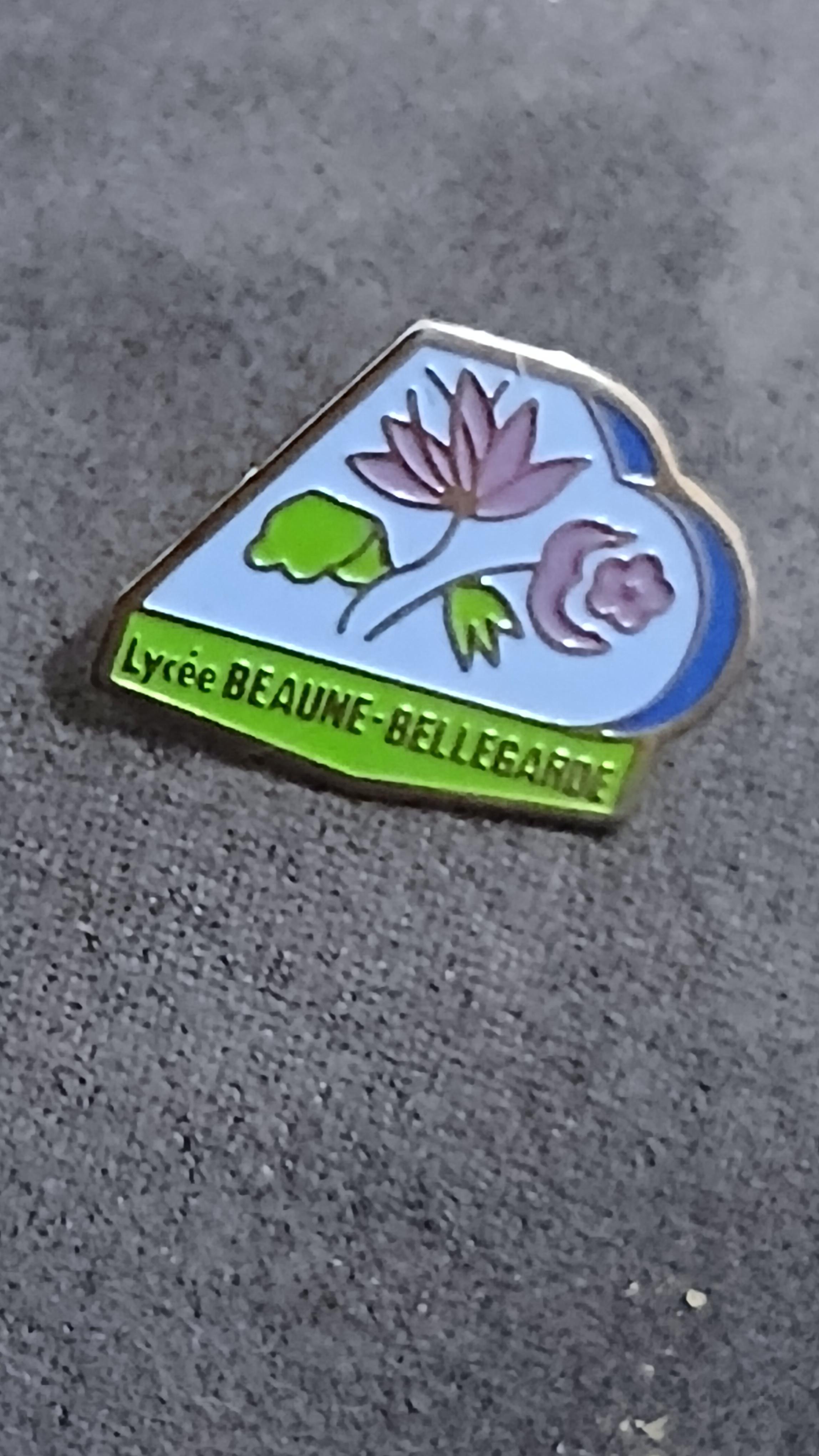 troc de troc un pins image 0