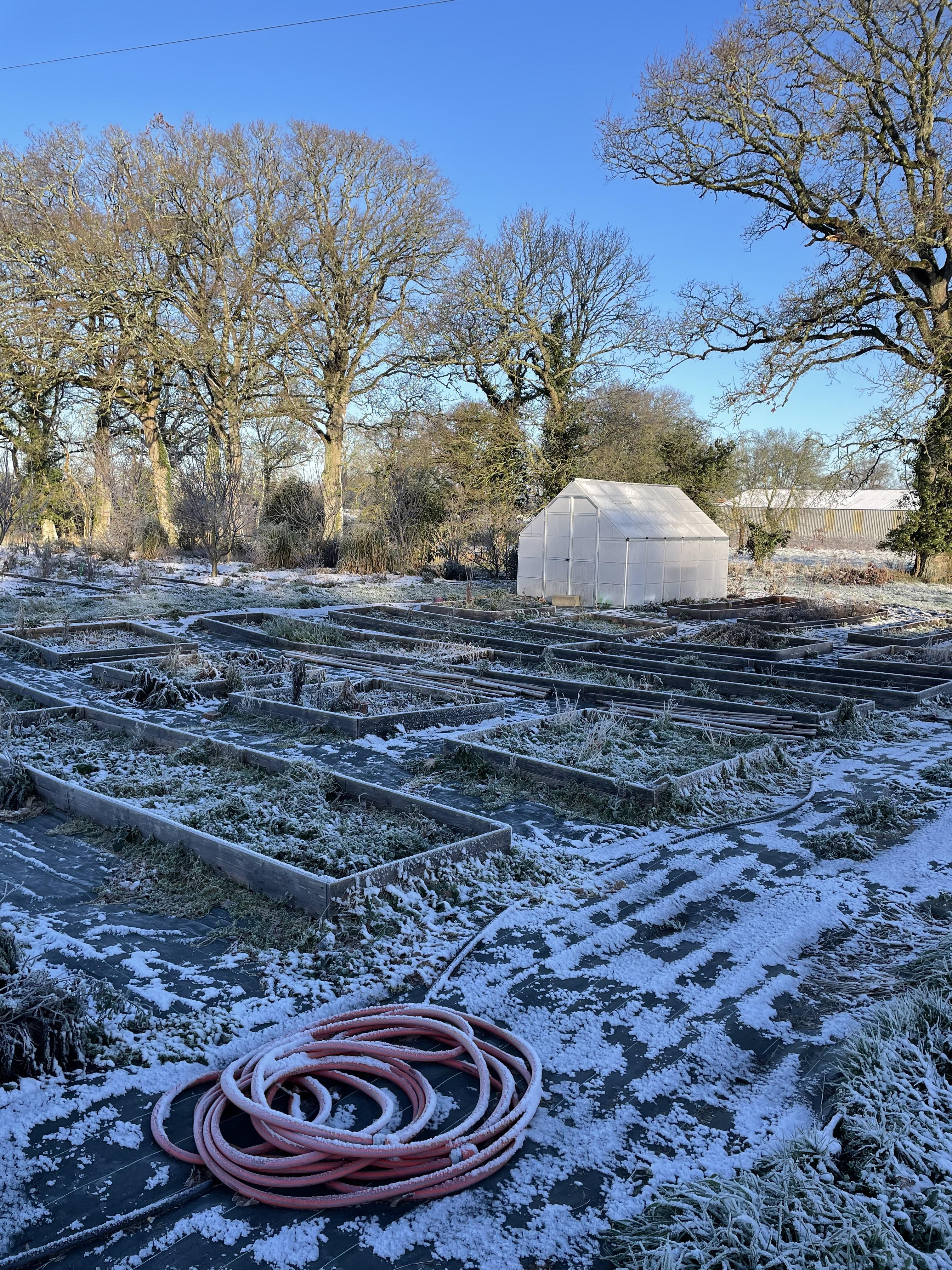 troc de troc désherbage / taille arbres image 0