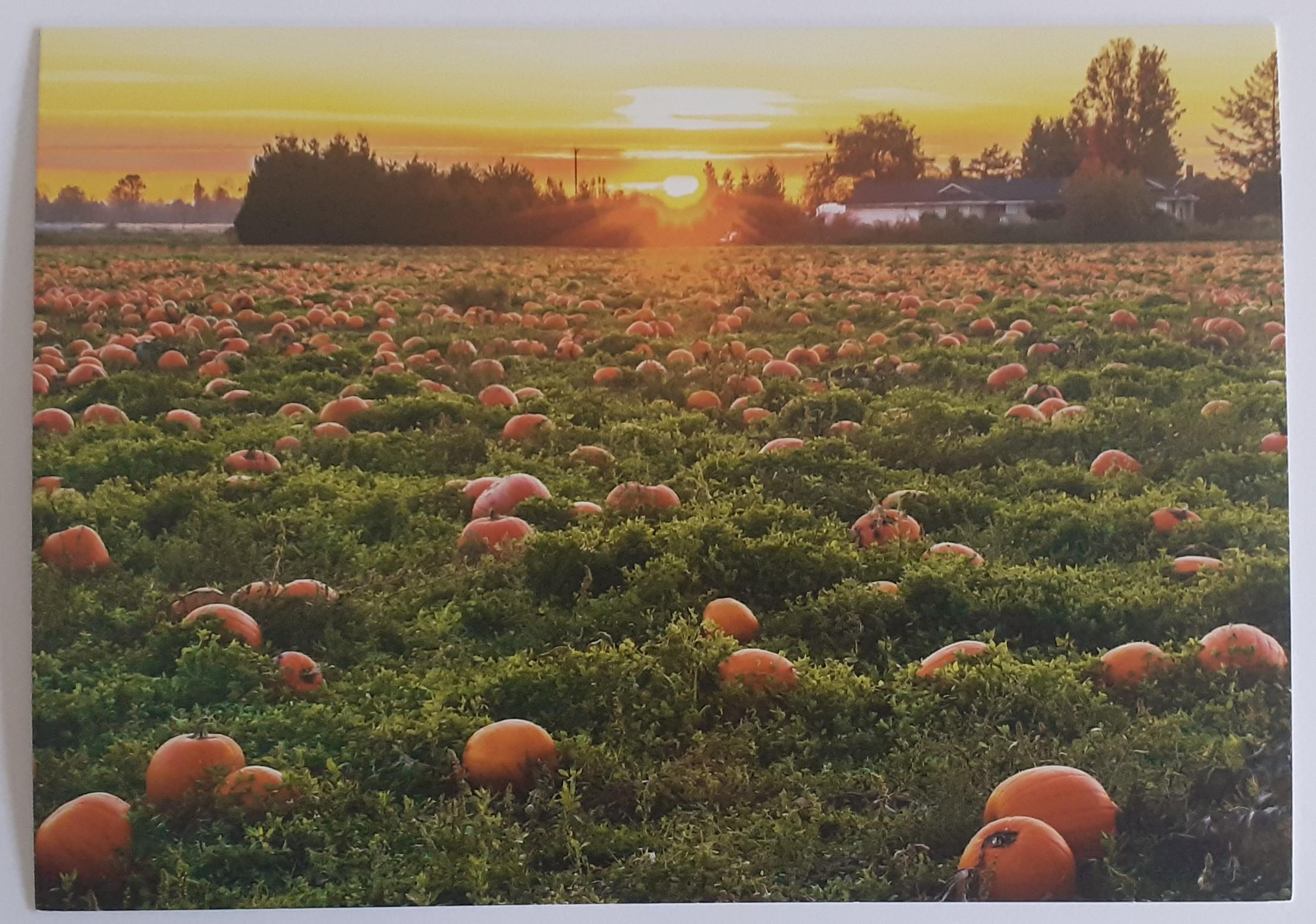 troc de troc cartes postales paysages image 0