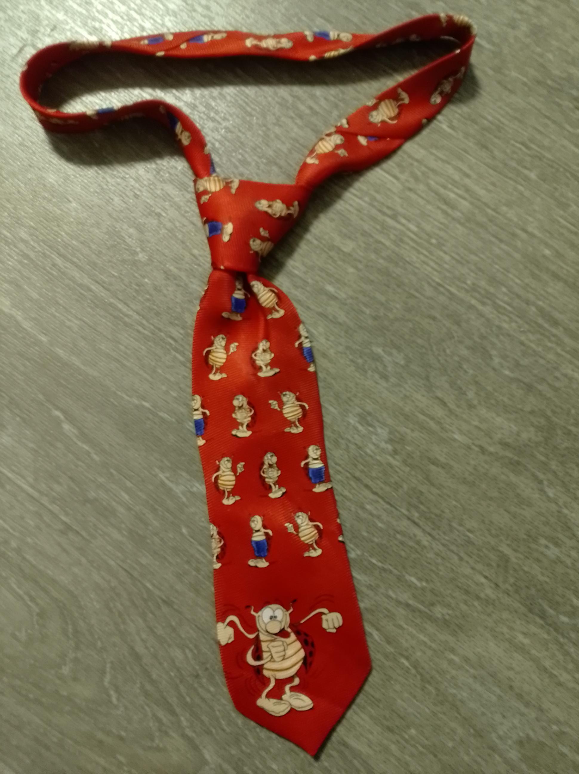 troc de troc cravate coccinelle image 0