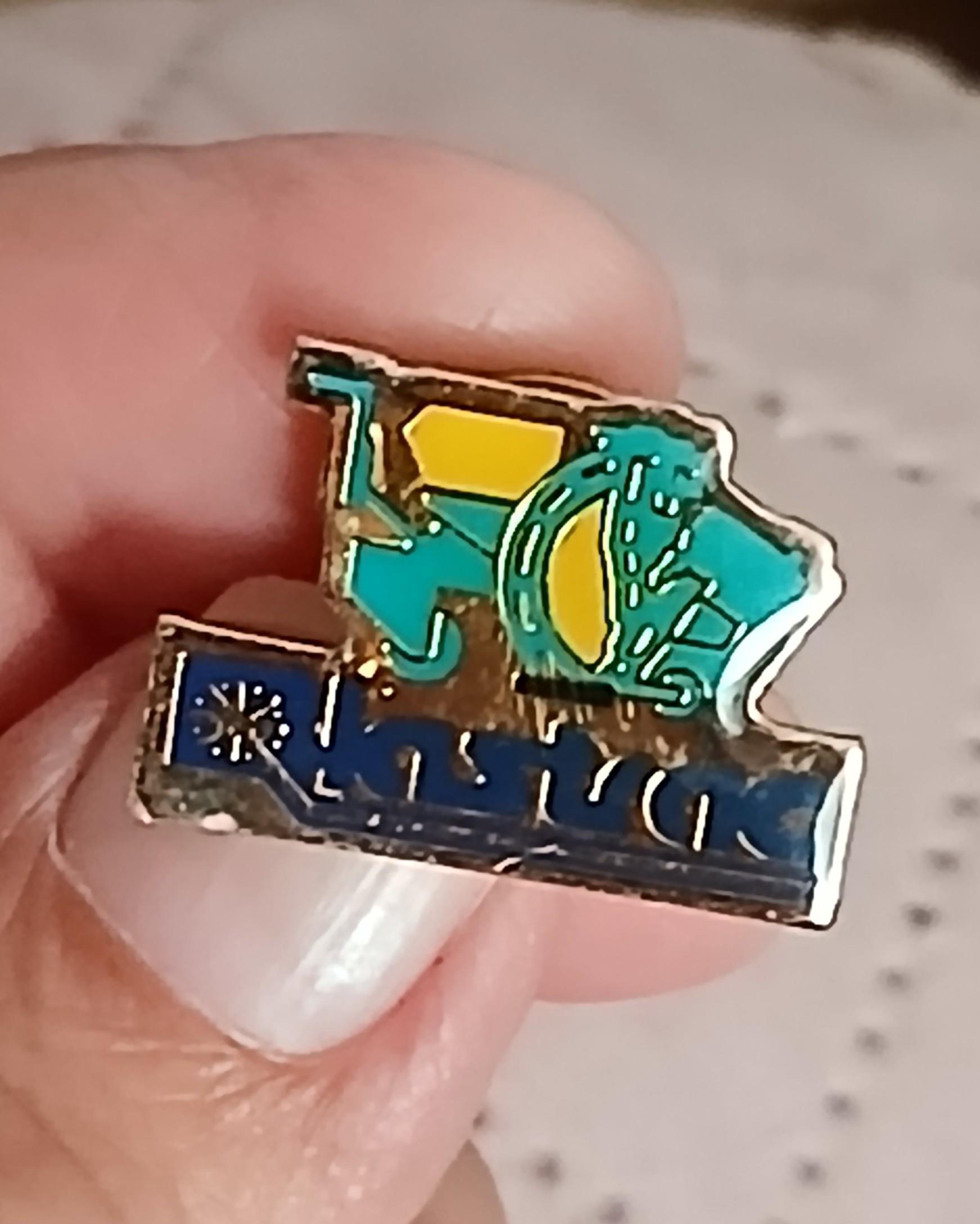 troc de troc un pins image 1