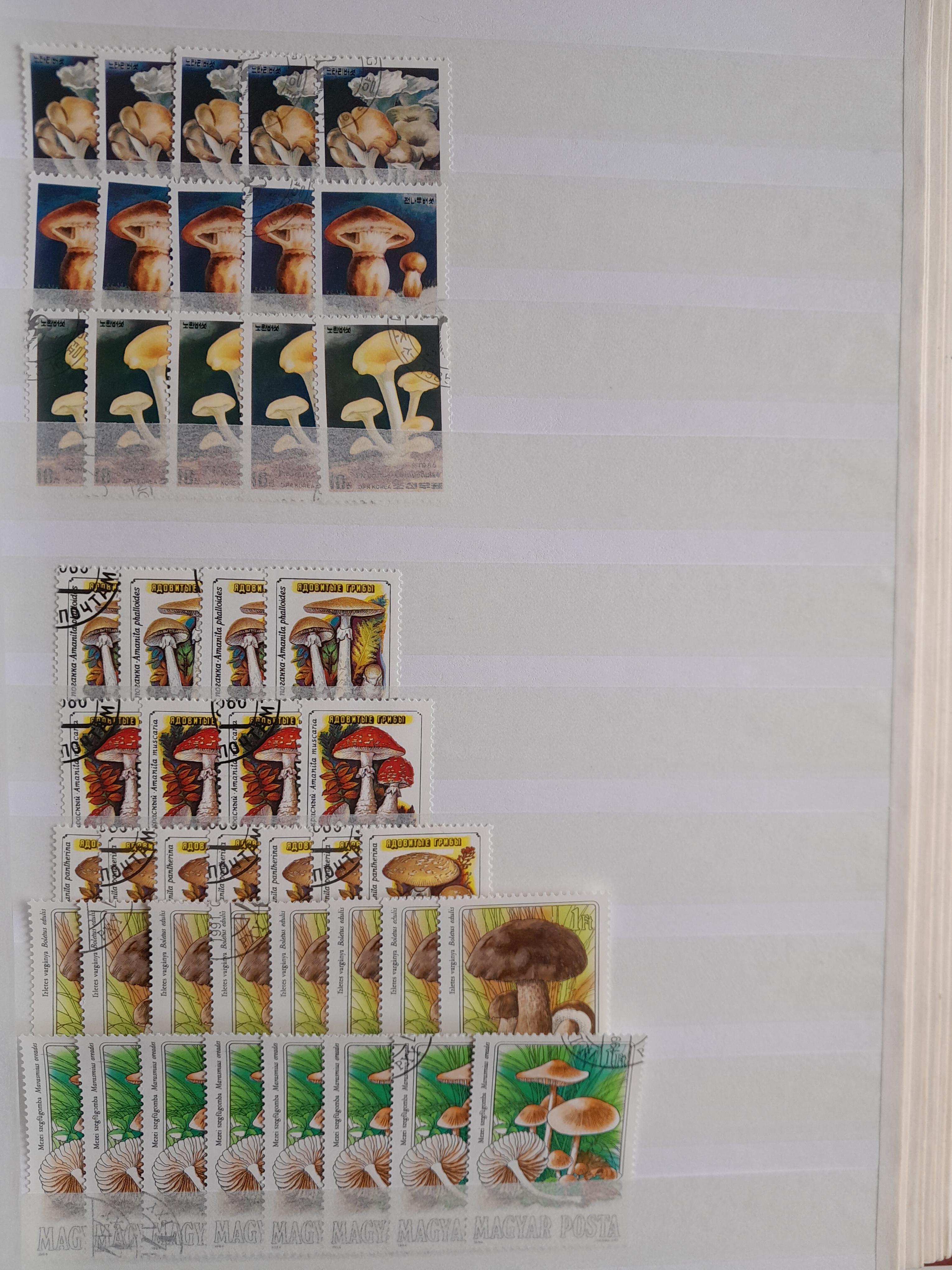troc de troc echange timbres theme champignons contre flyers image 2