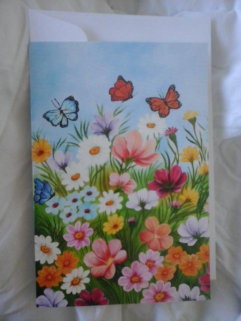 troc de troc carte fleurs des champs et papillons & son enveloppe blanche image 0