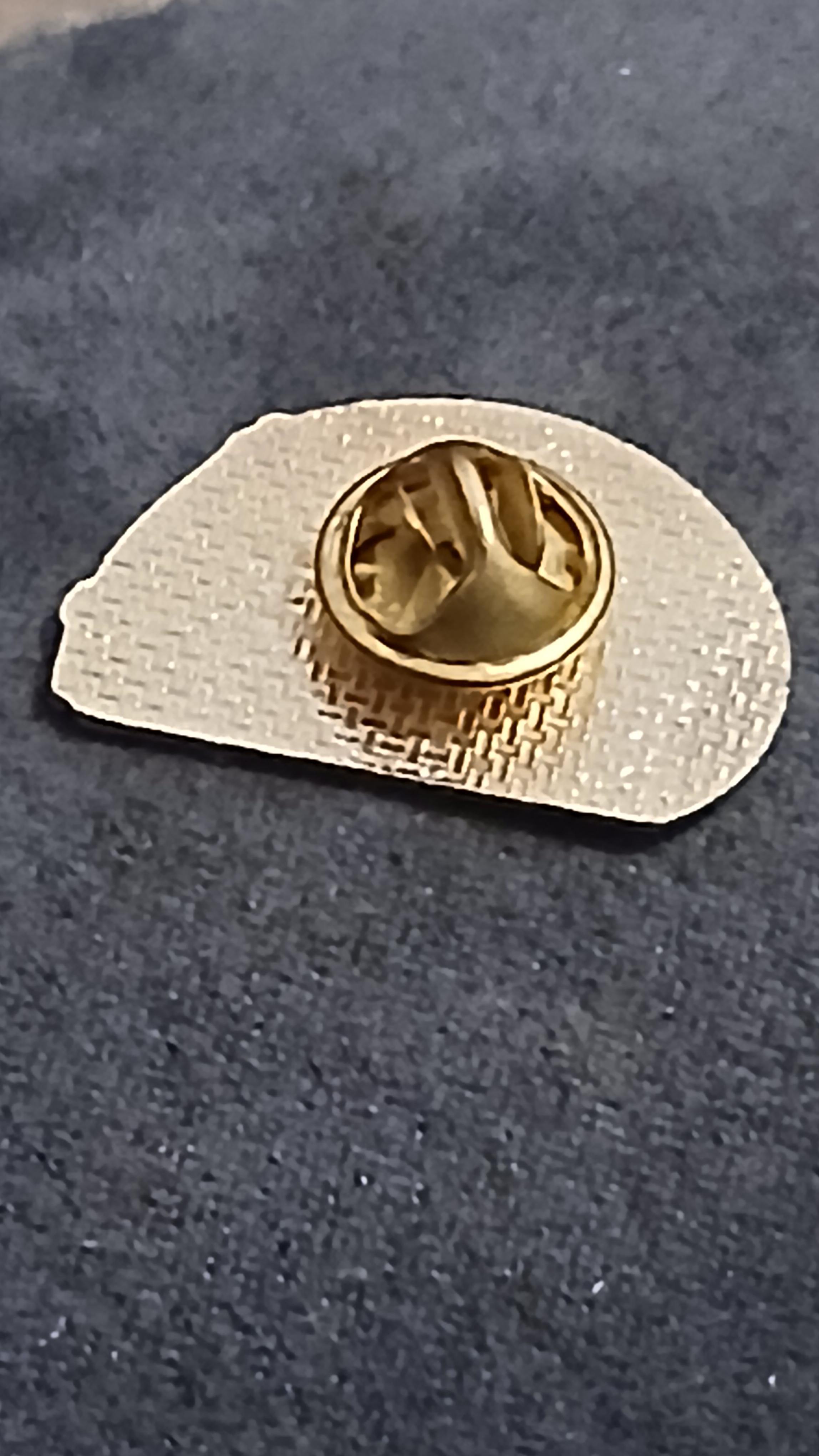 troc de troc un pins image 1