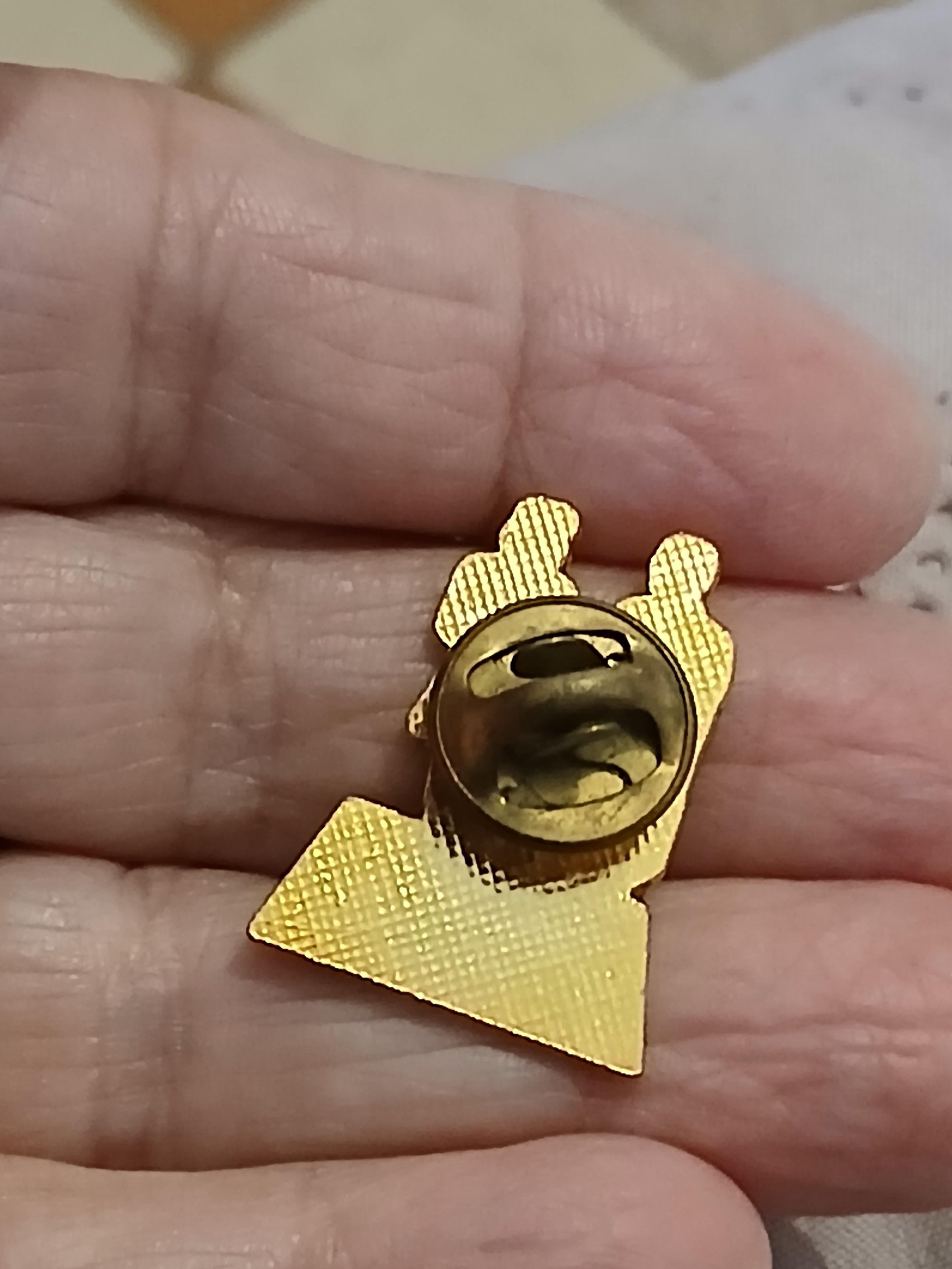 troc de troc un pins image 2
