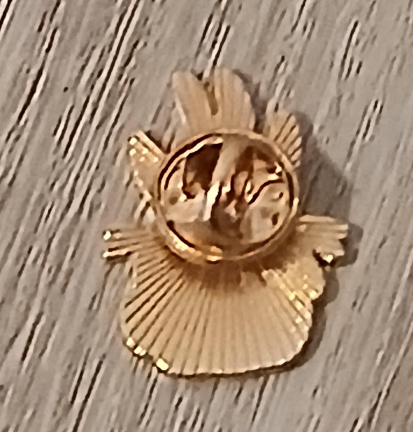 troc de troc reserver fidji un pins image 1