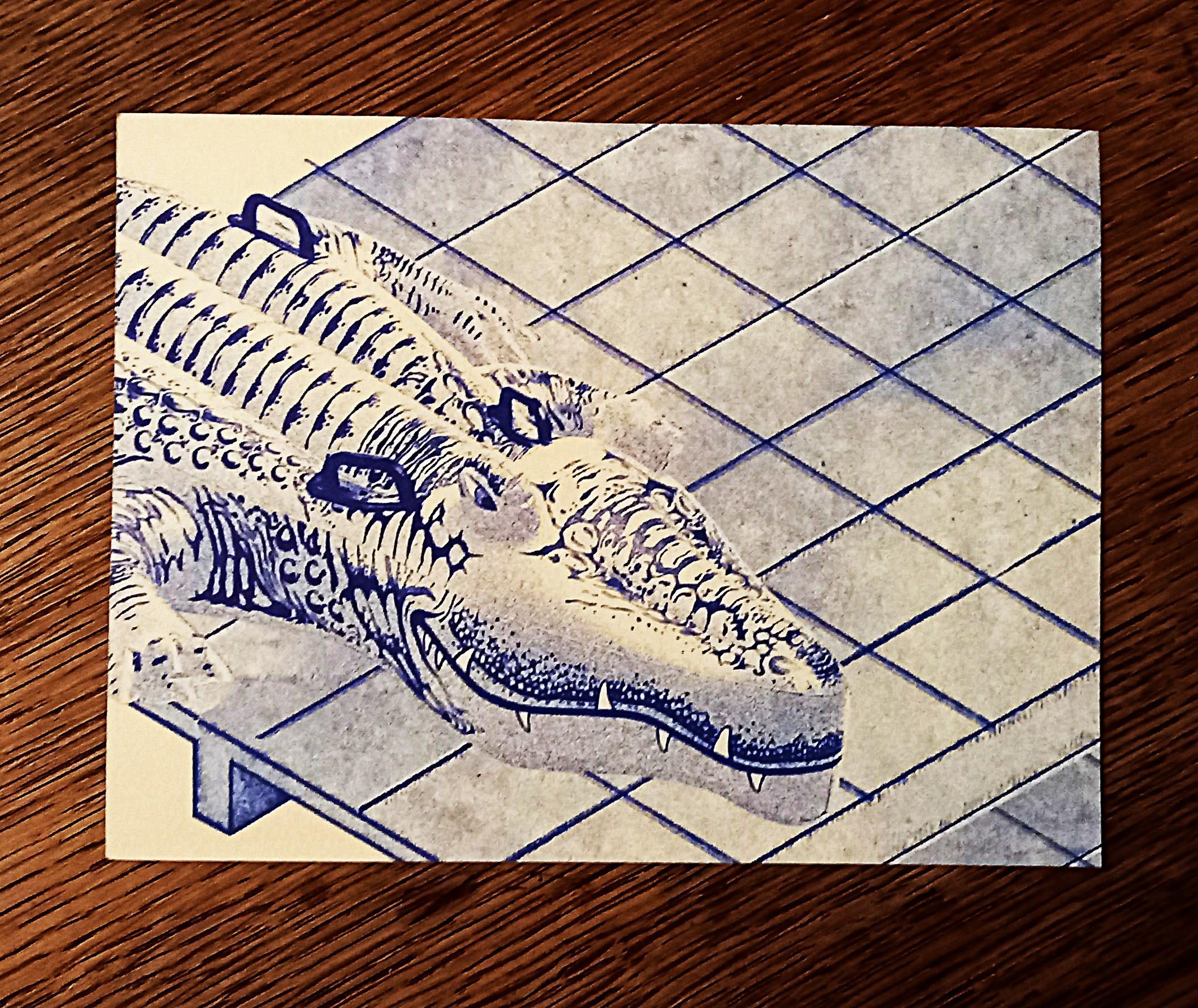 troc de troc carte "l'alligator". image 0