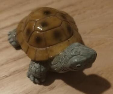troc de troc cheloniophilie - tortue résine image 0