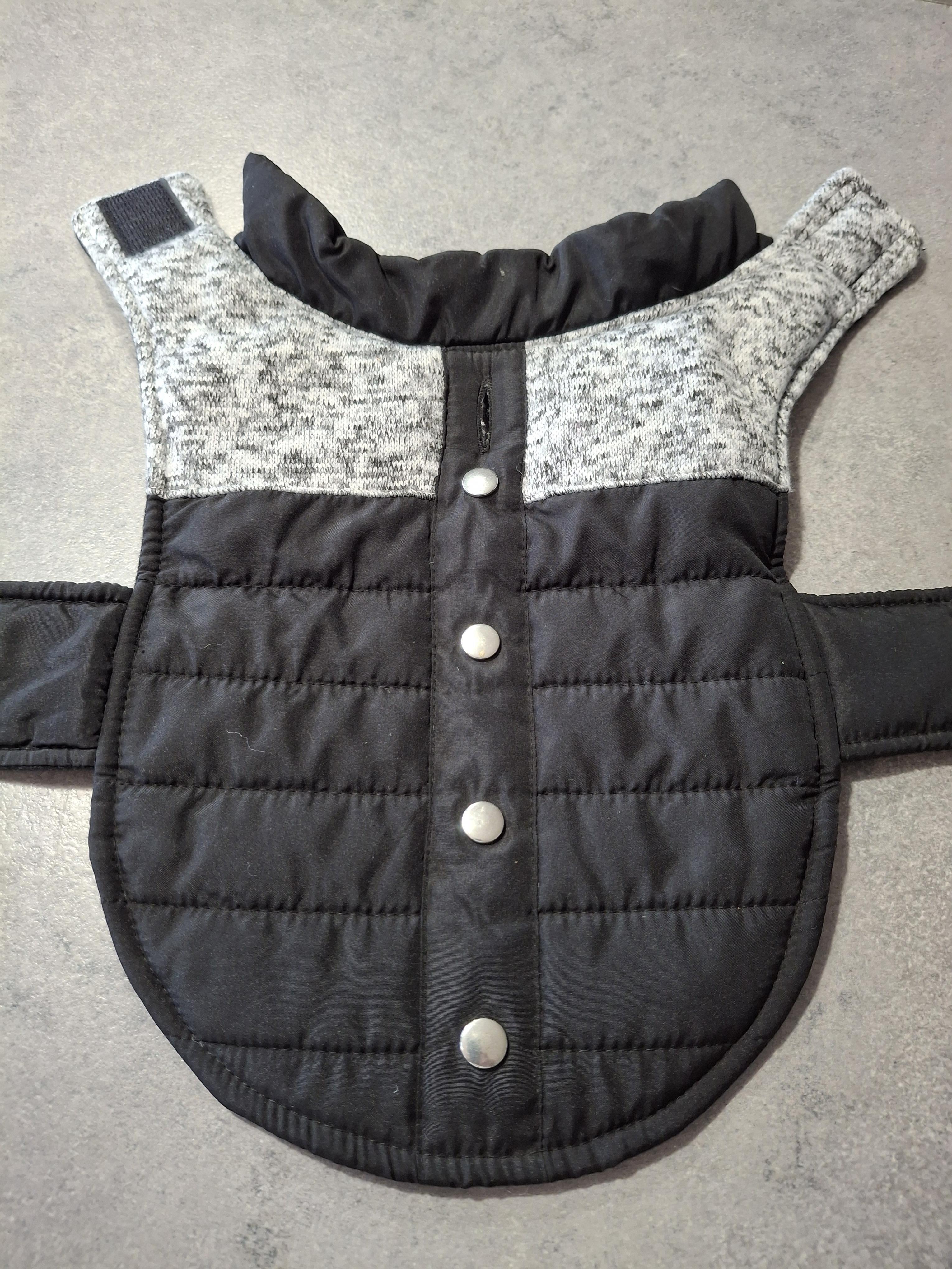 troc de troc manteau hiver petit chien image 0