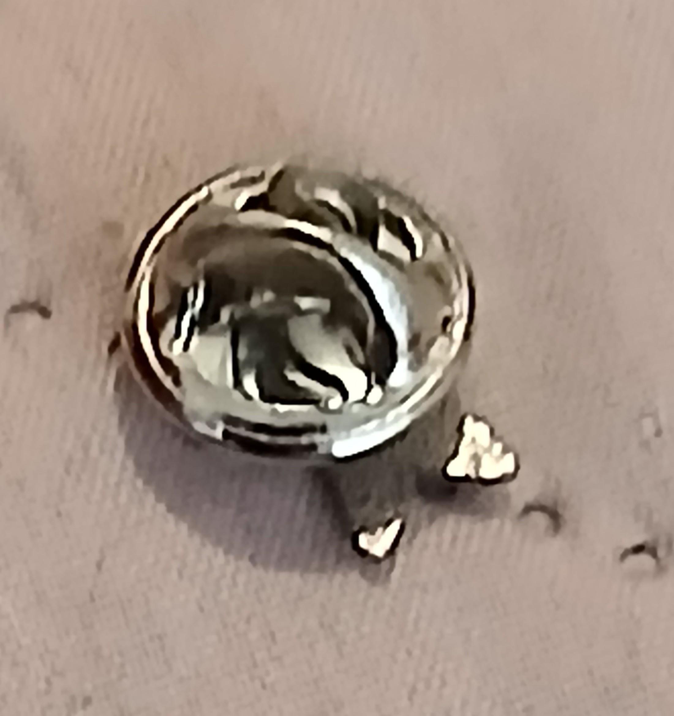 troc de troc un pins  ' cassegrain ' image 2