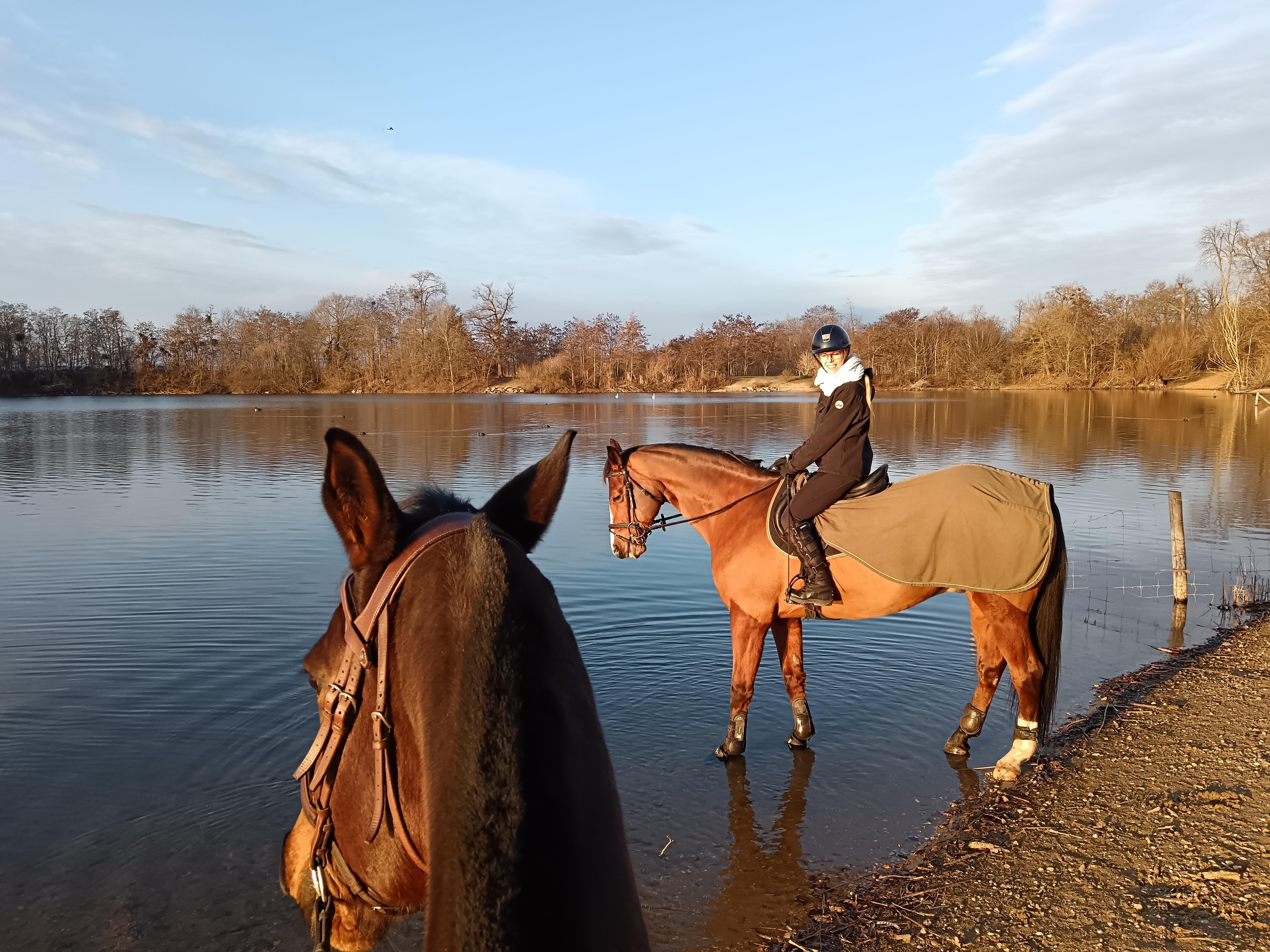 troc de troc balade à cheval image 0