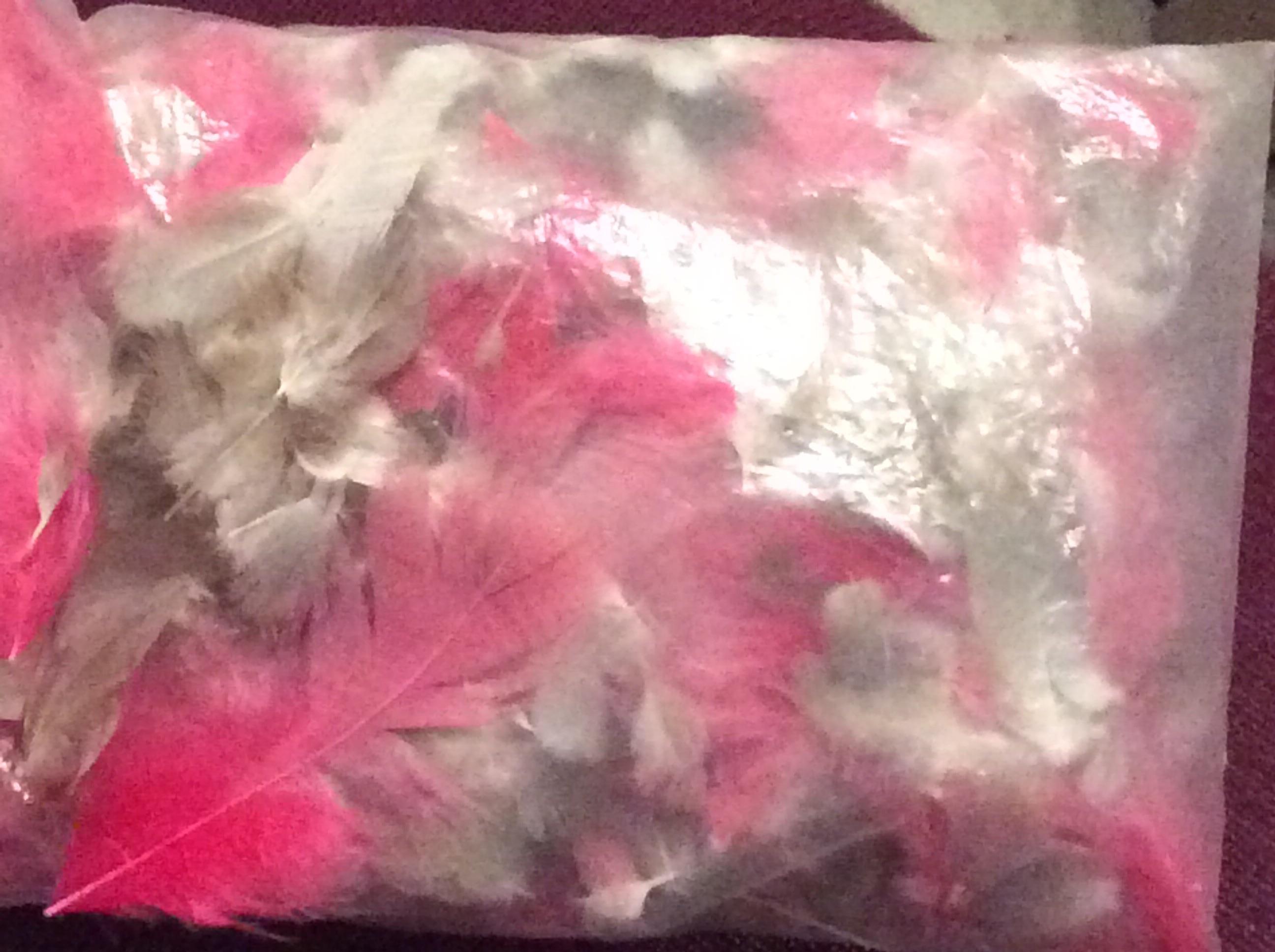 troc de troc petites plumes blanches et grises ;plumes colorées roses image 0