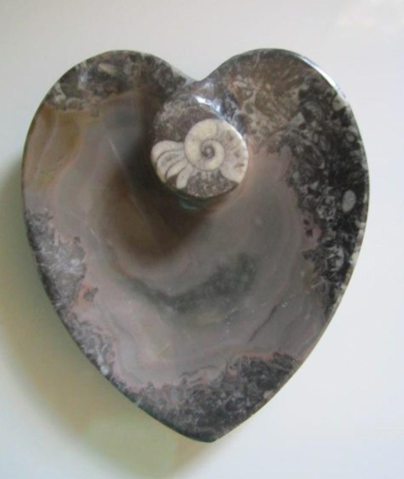 troc de troc vide poche cendrier en forme de coeur de 350-395 millions d'année image 0