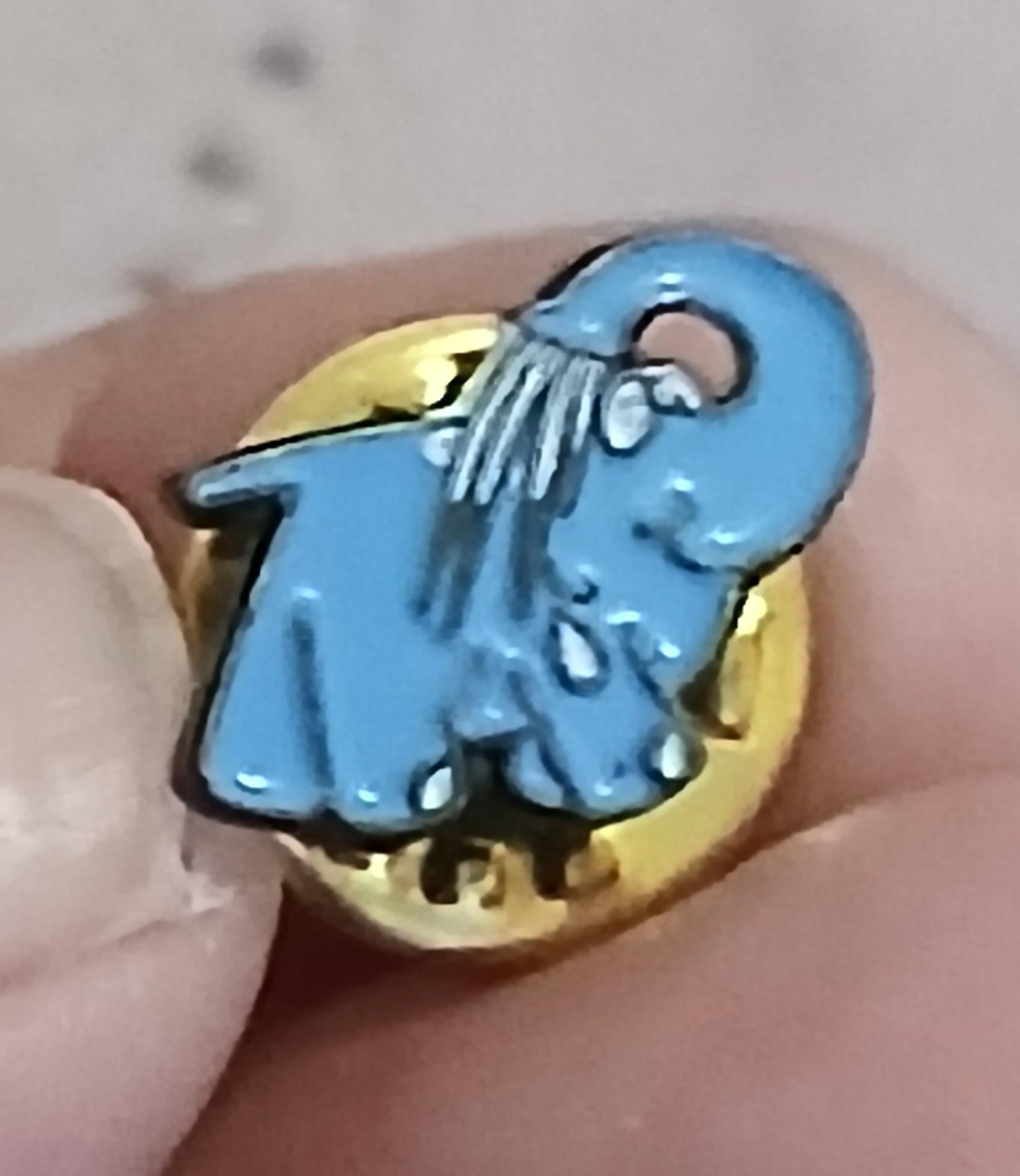 troc de troc reserver troqueuse un pins ' image 0