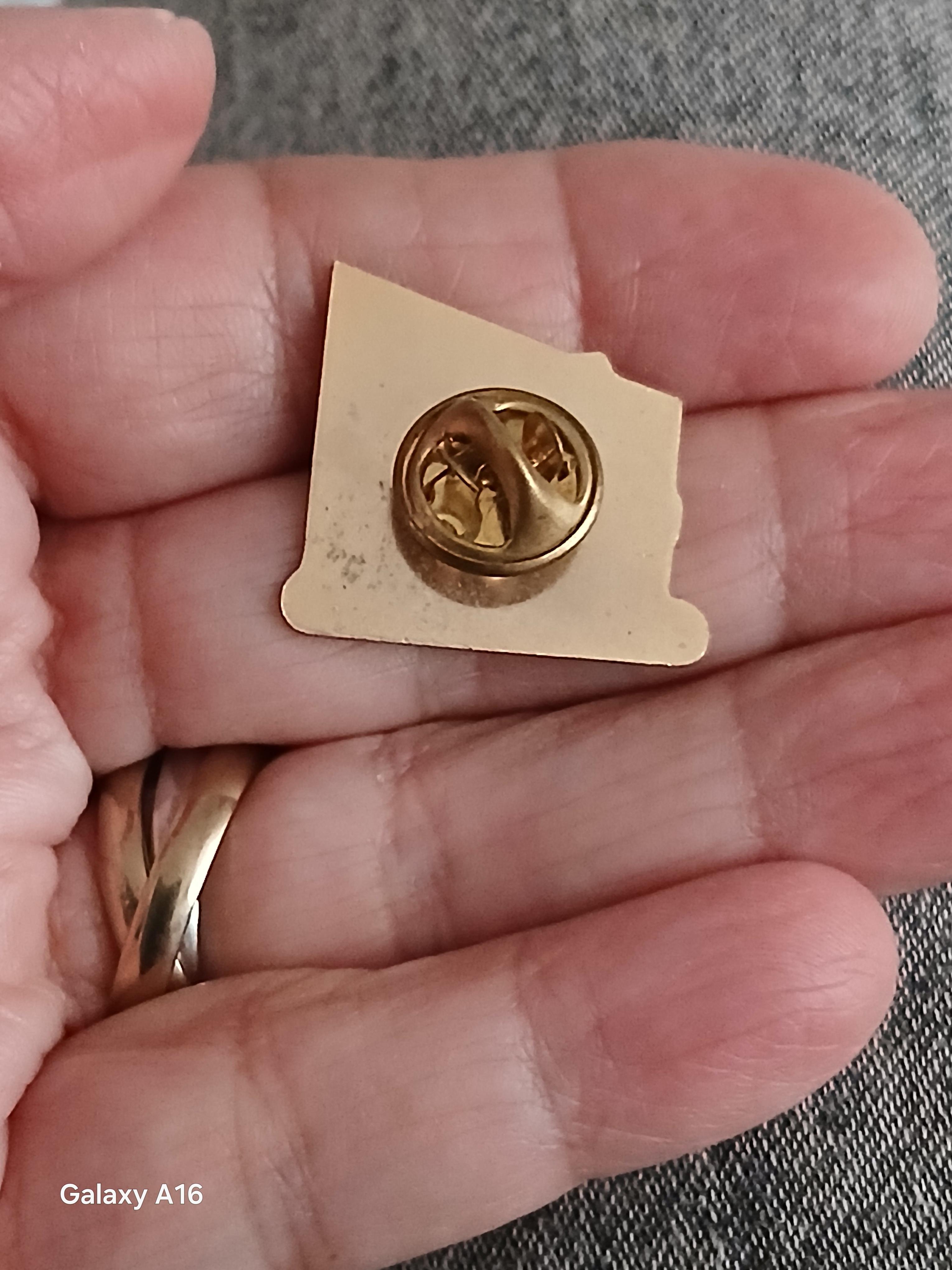 troc de troc un pins image 2