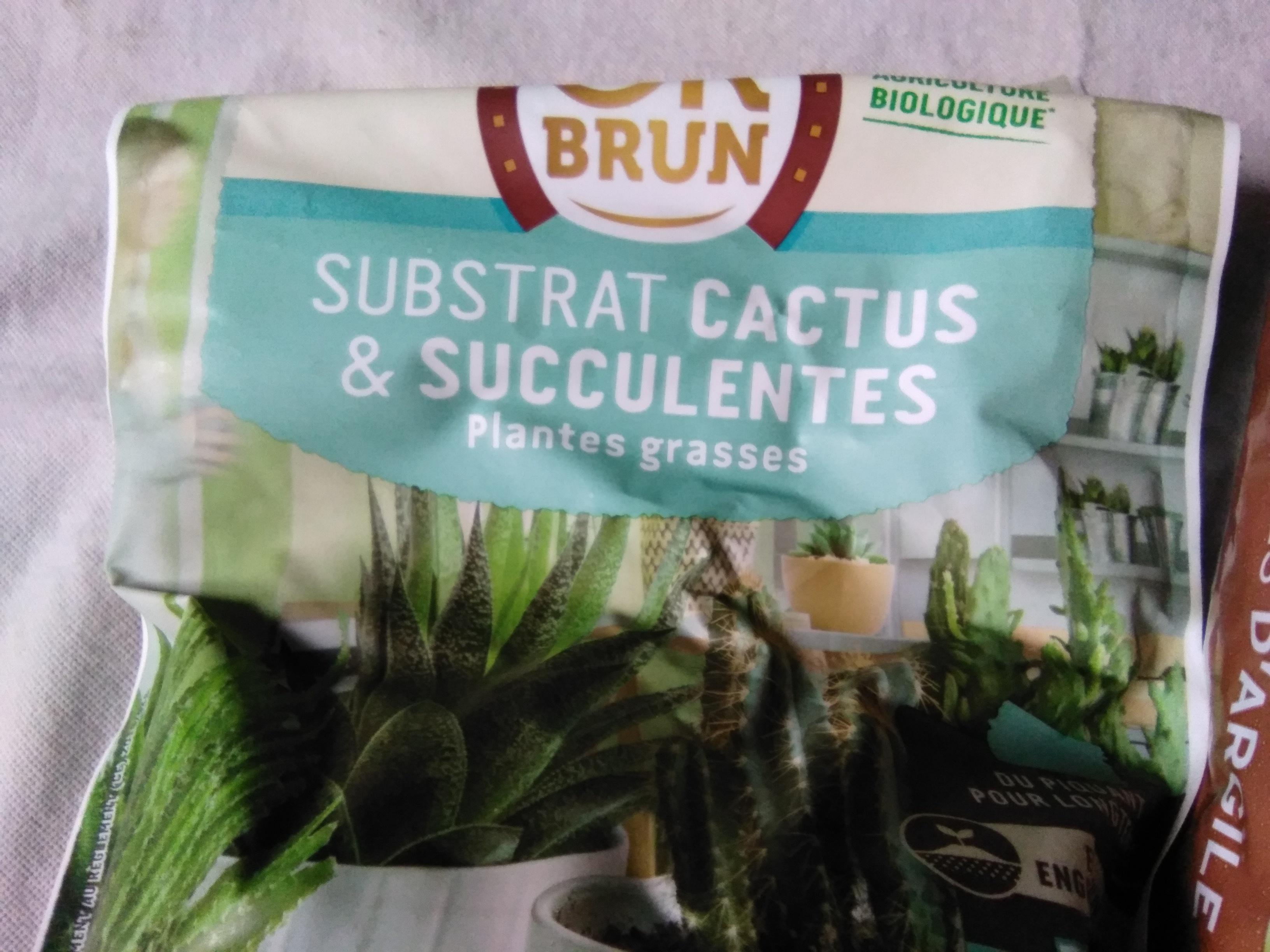 troc de troc lot pour plantes grasses, très bon état image 1