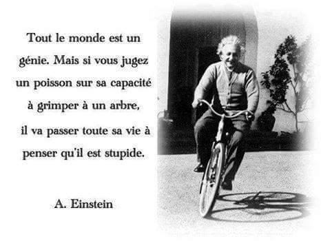troc de troc vous avez de l'imagination ,des idées, alors j'ai besoin de vous. image 0