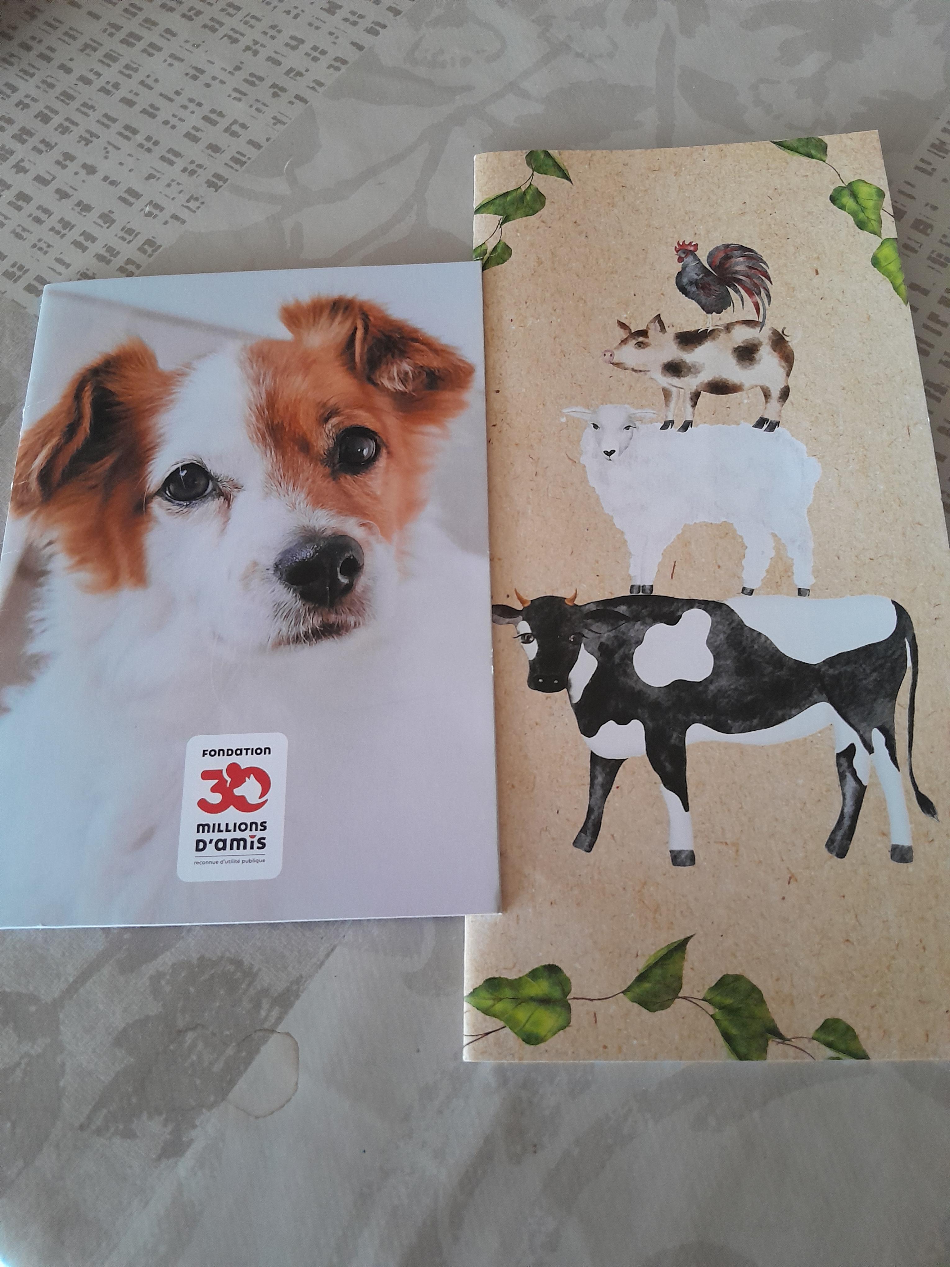 troc de troc 2 carnets pour écrire image 0