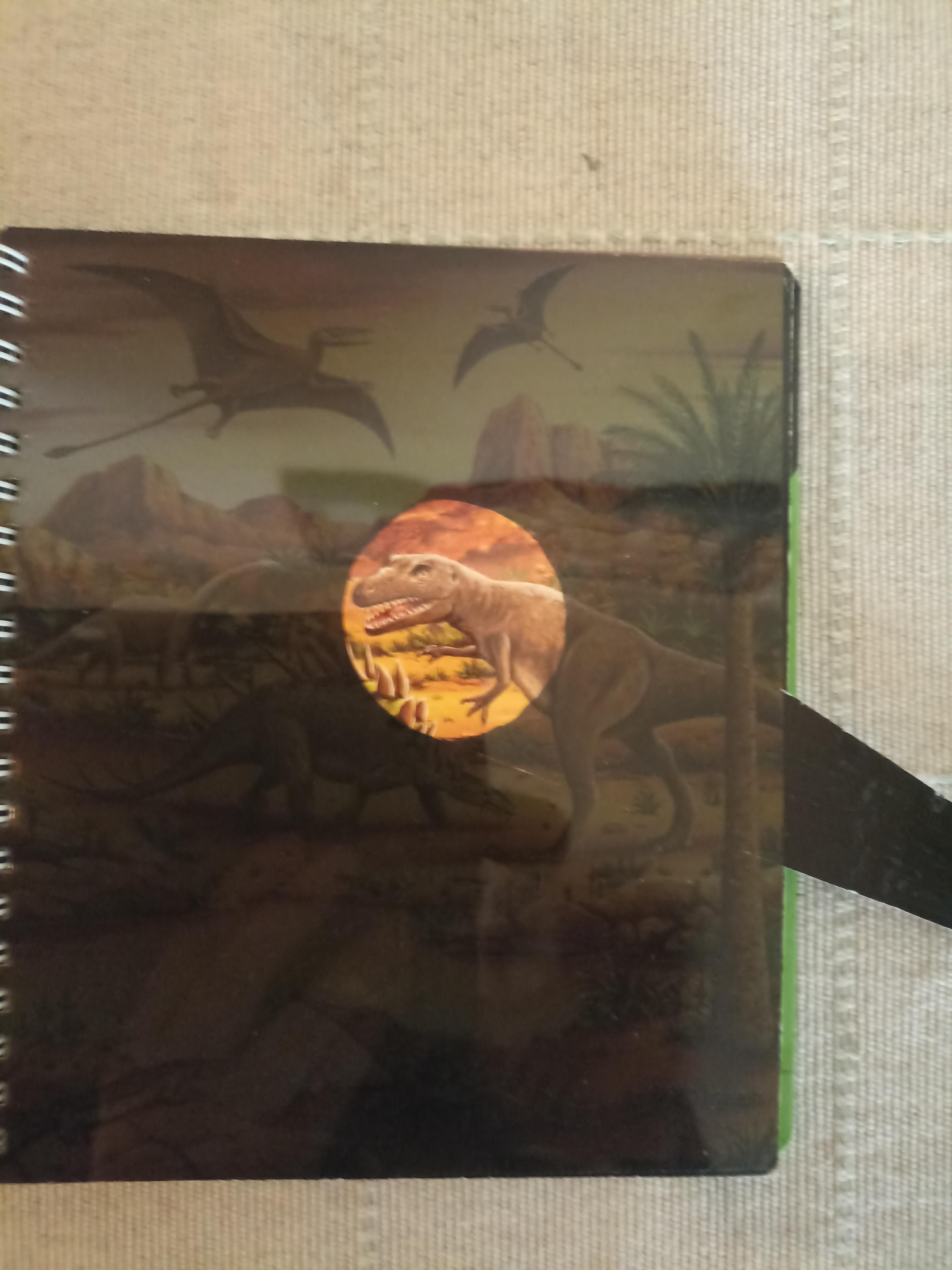 troc de troc réservé livre enfant avec "lampe" magique image 2