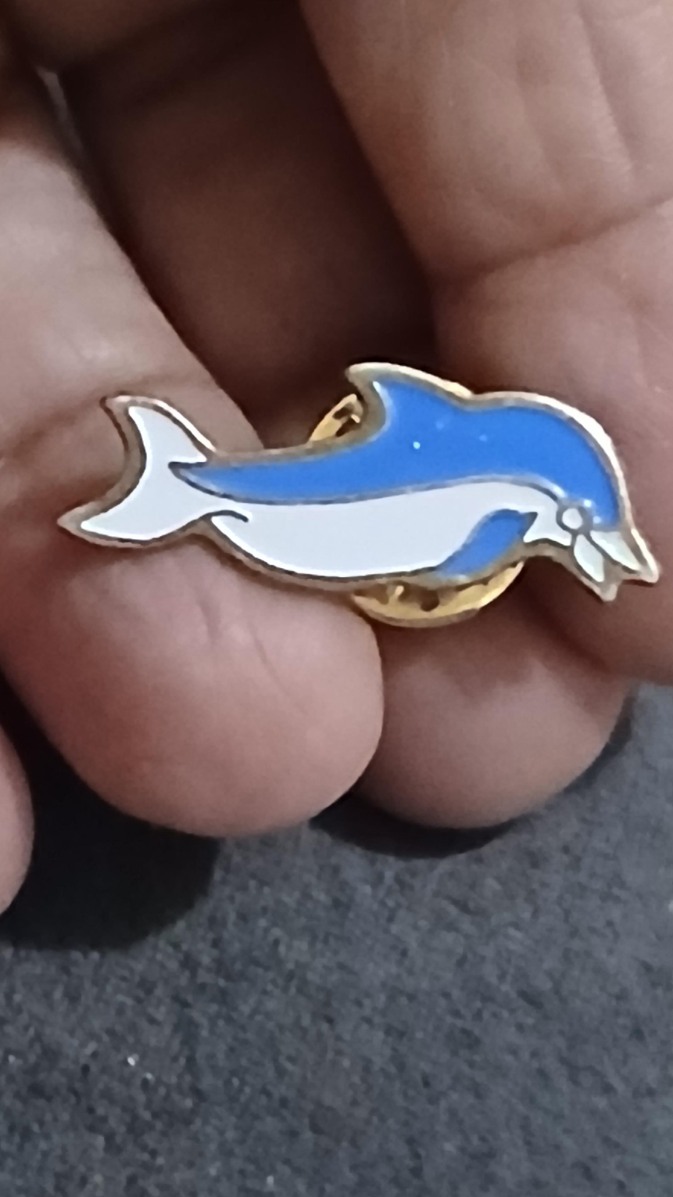 troc de troc un pins image 0