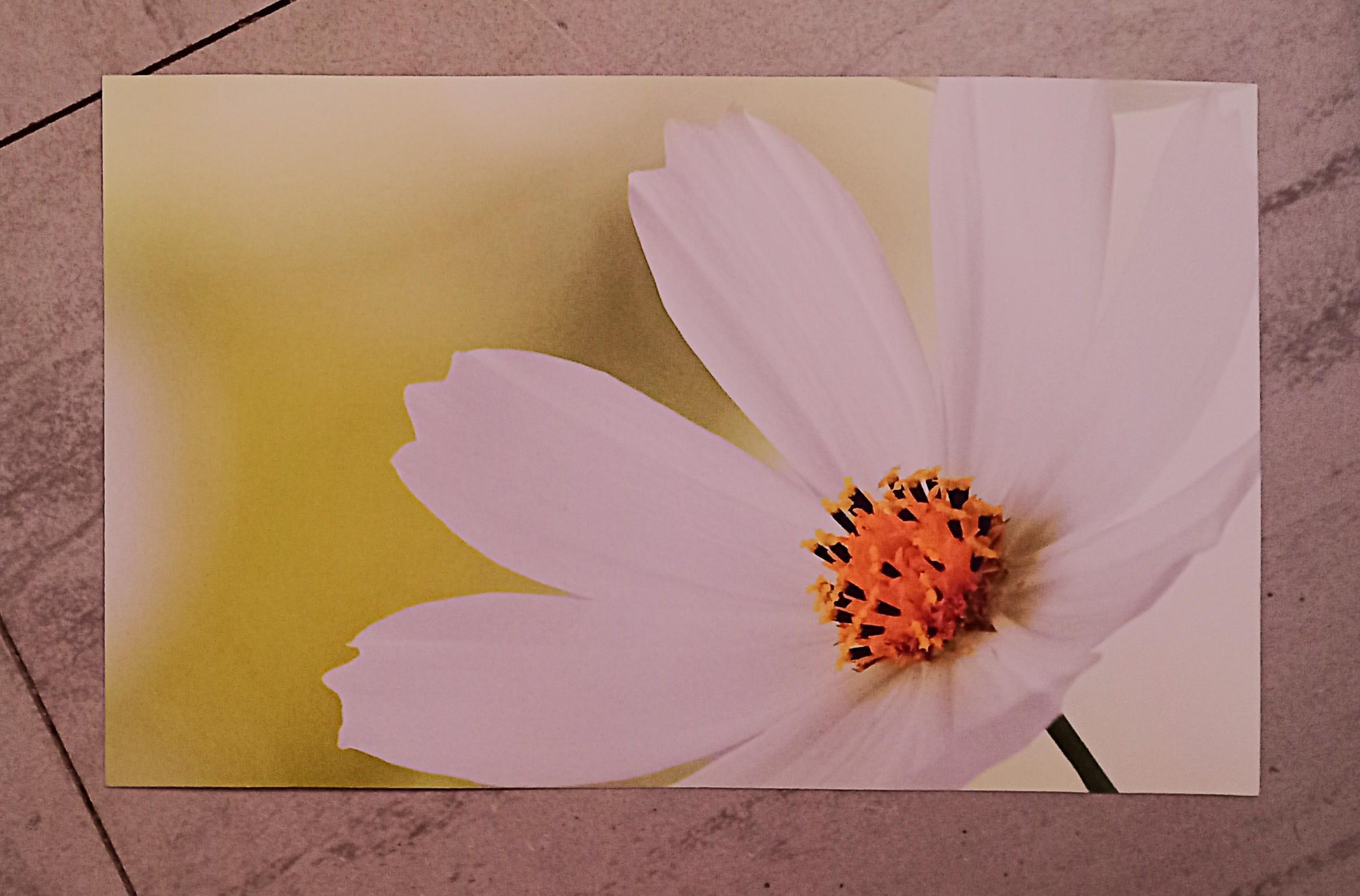 troc de troc grande carte recto/verso. image 1