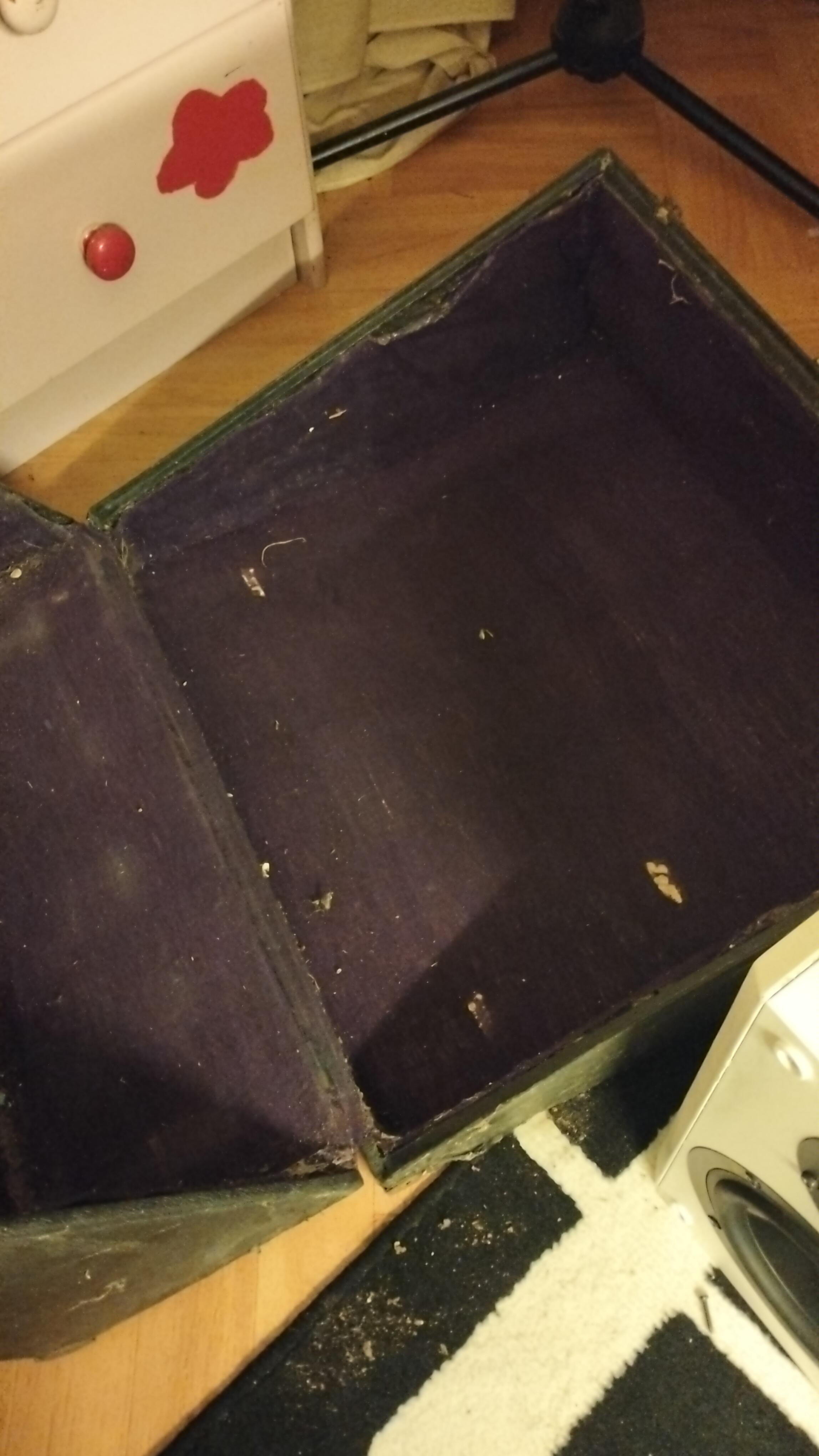 troc de troc mallette d’origine pour accordéon image 1