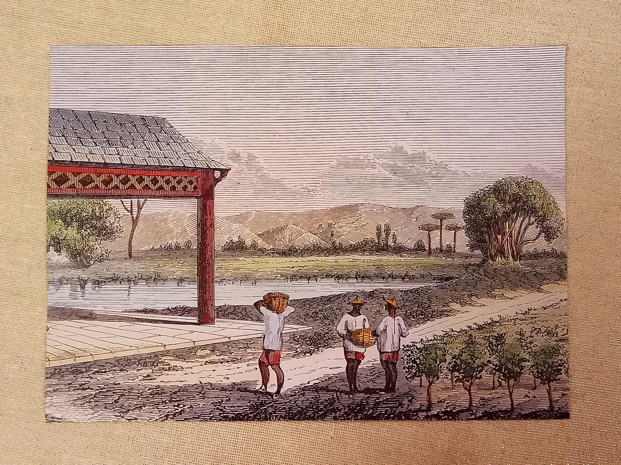 troc de troc affiche recto/verso. image 1