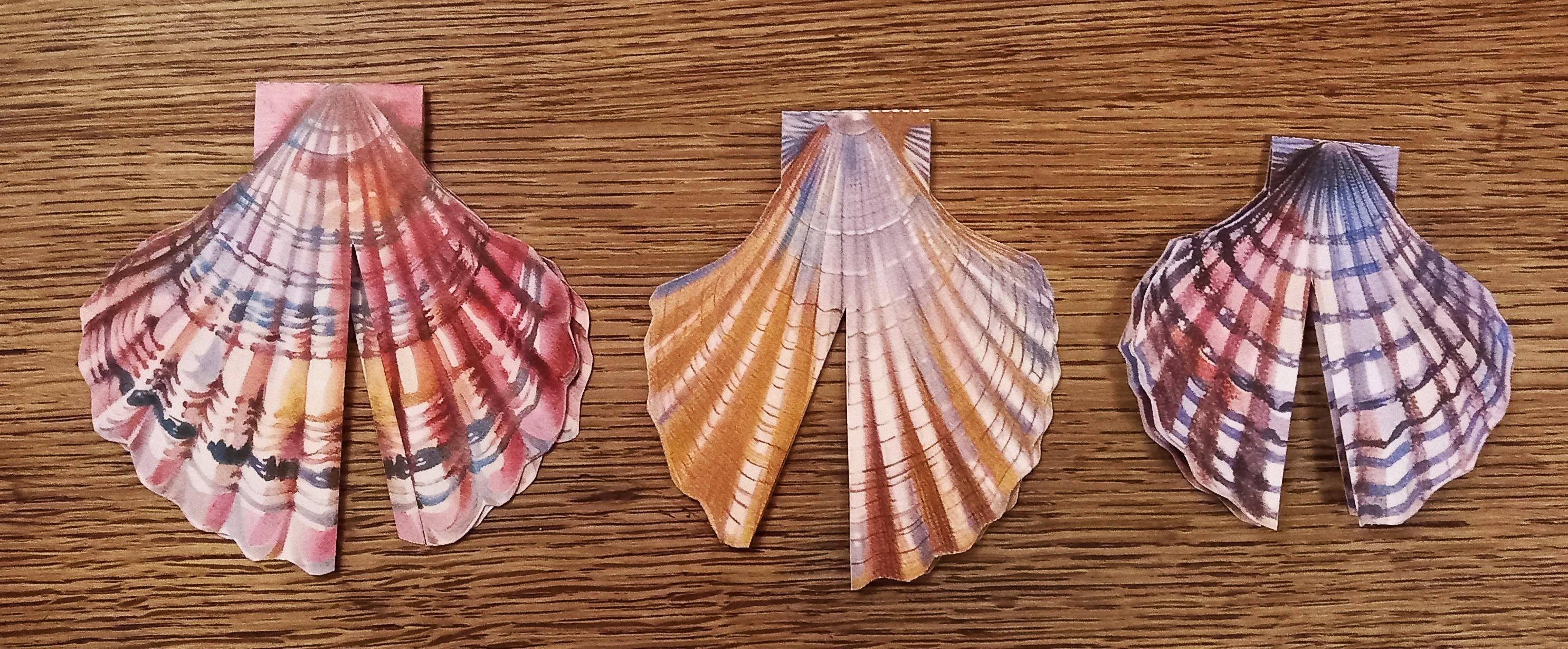 troc de troc 3 étiquettes "coquilles st jacques". image 0