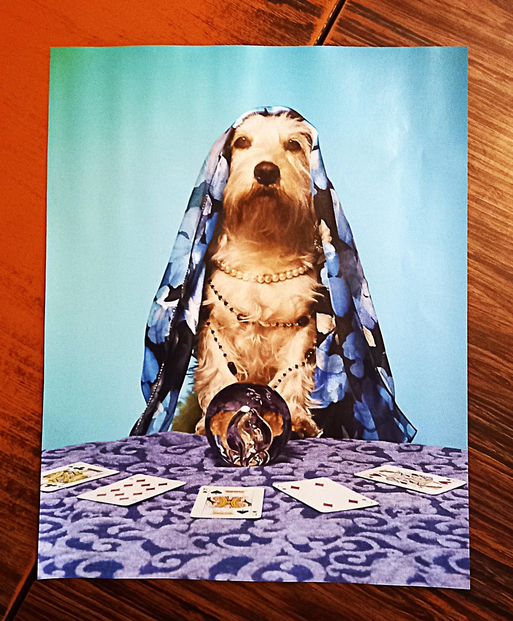 troc de troc affiche "chien médium". image 0