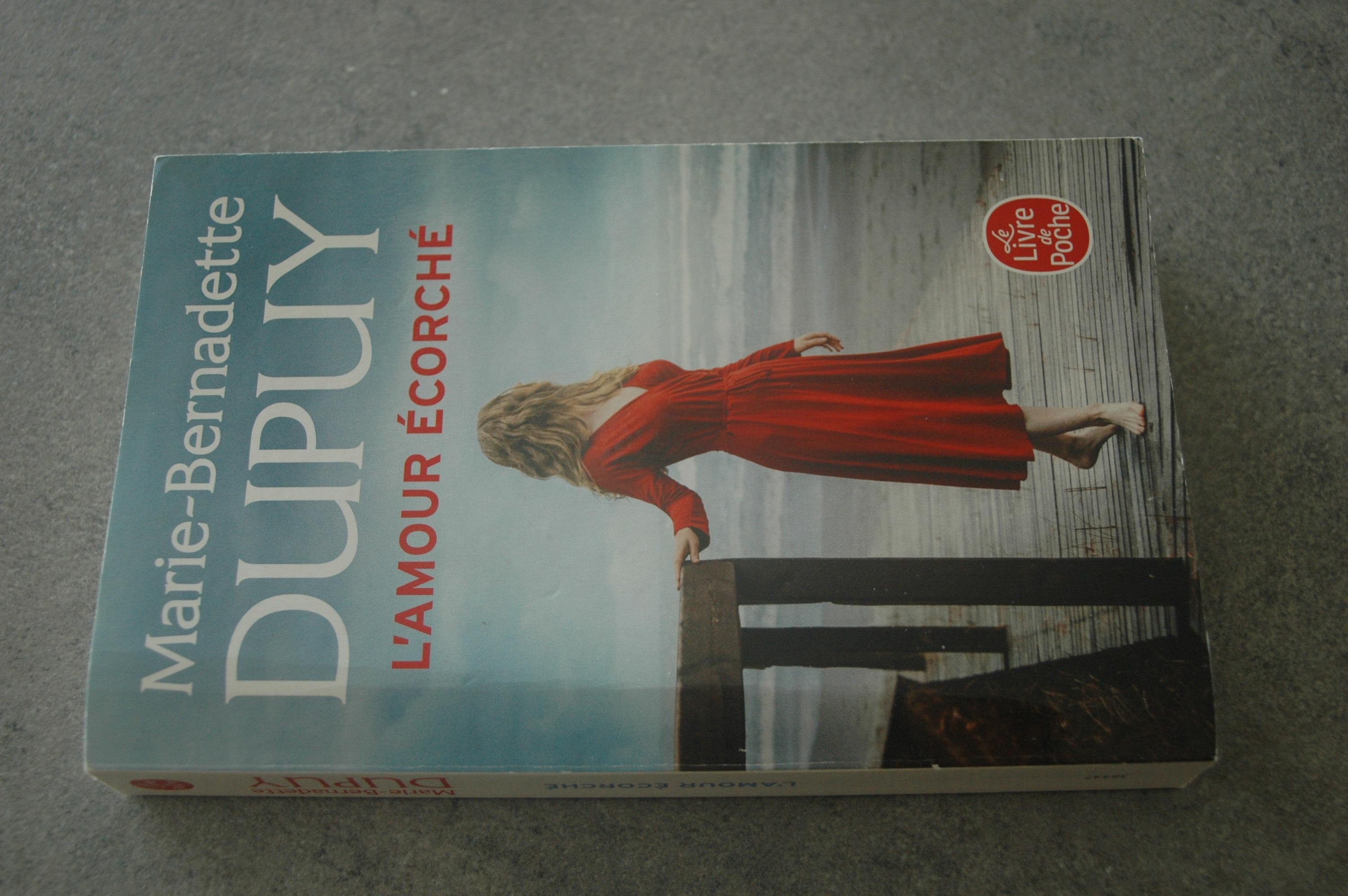 troc de troc roman m.b.  dupuy image 0