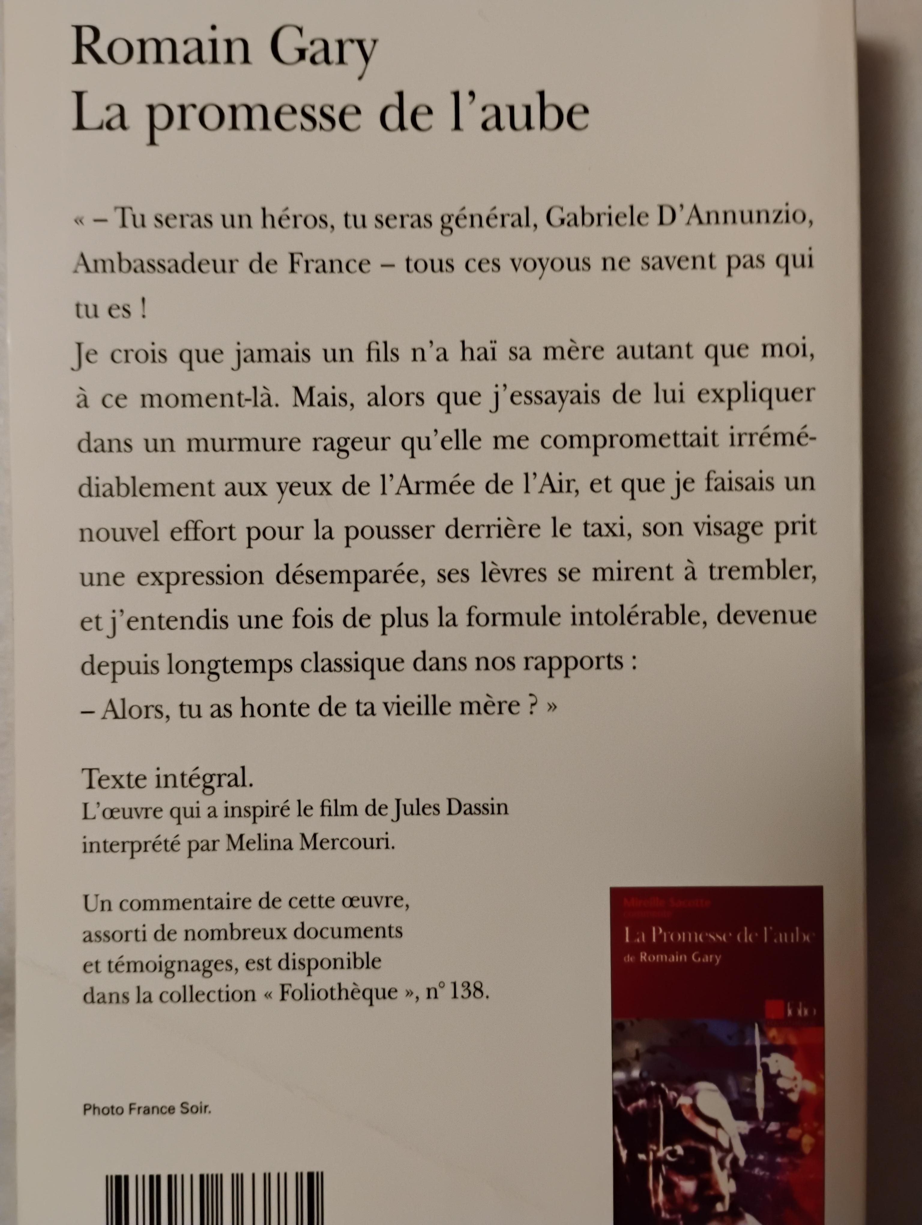 troc de troc roman la promesse de l'aube image 1