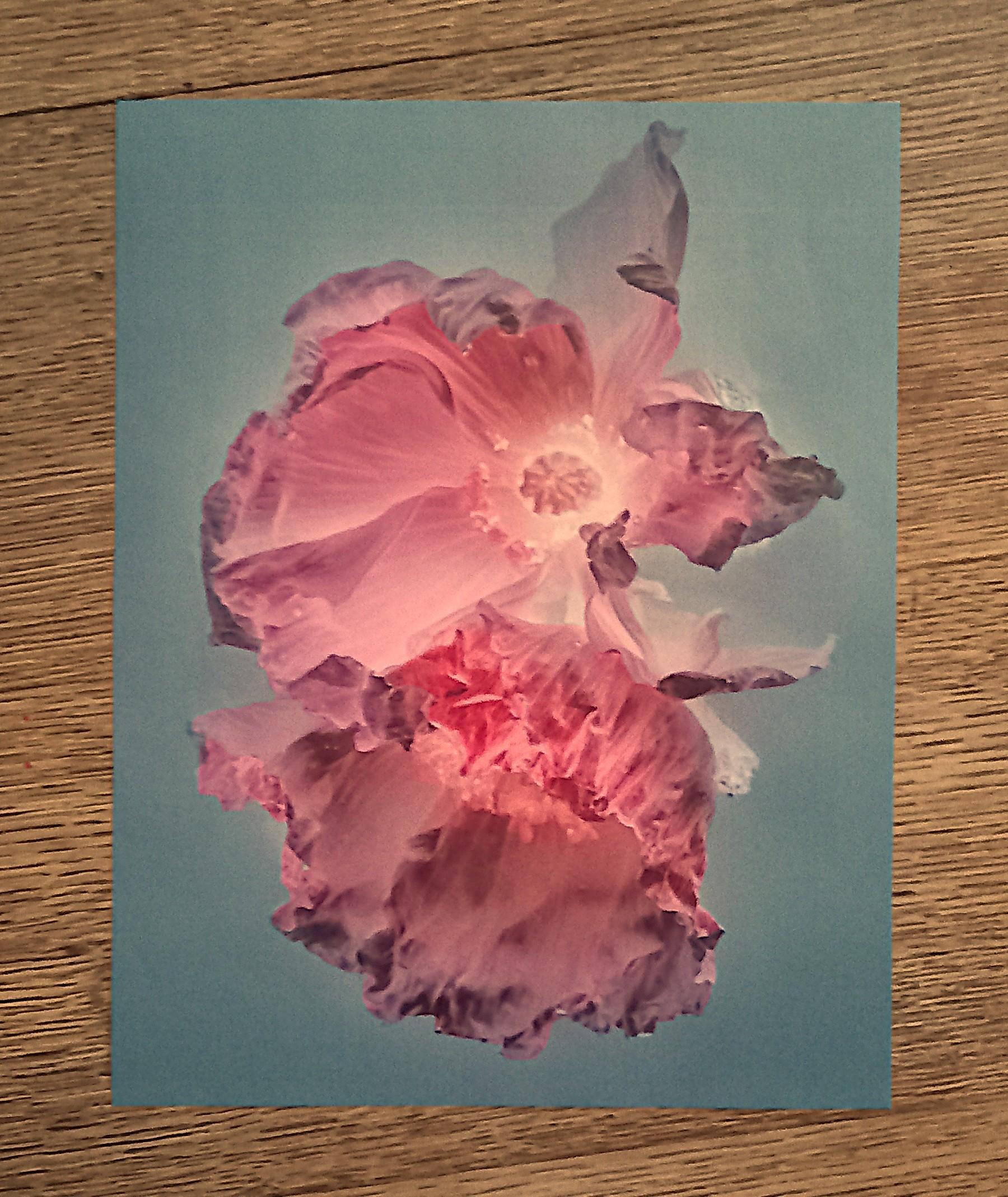 troc de troc affiche florale. image 0