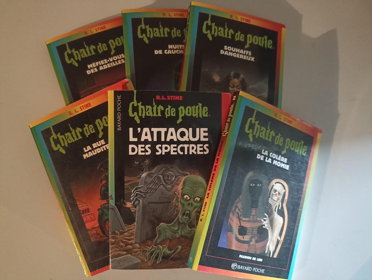troc de troc lot 6 livres chair de poule image 0