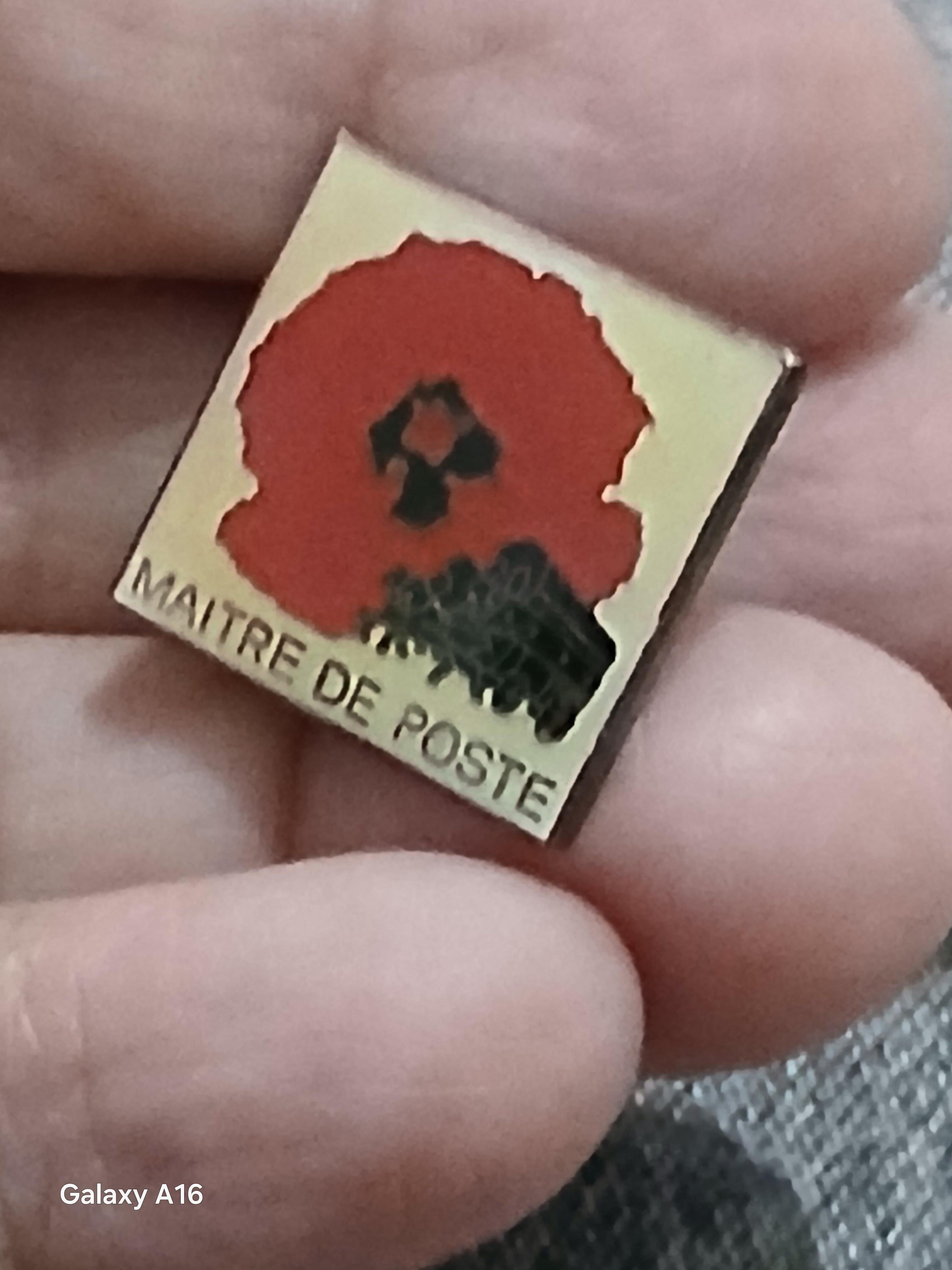troc de troc un pins image 1