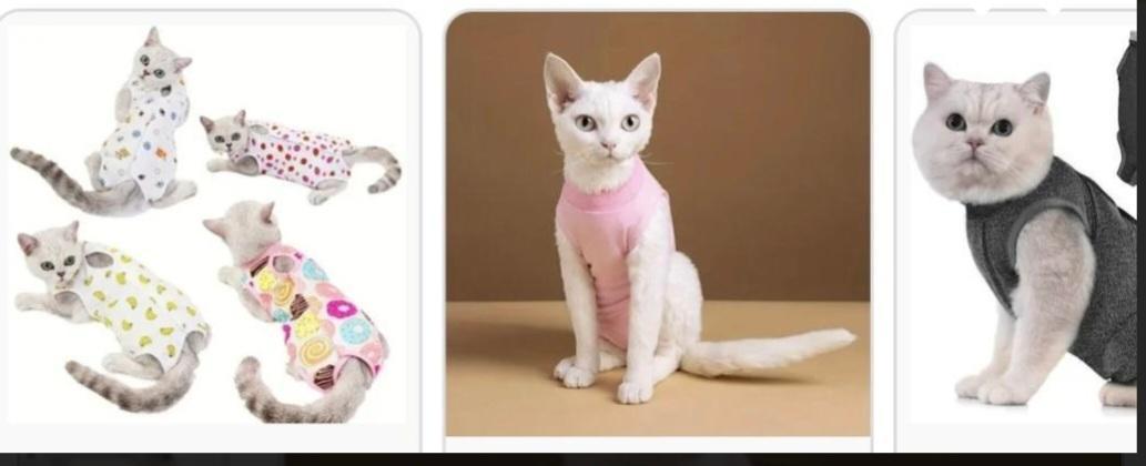 troc de troc recherche body image 0