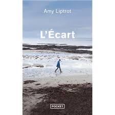 troc de troc livre - l'écart - poche - amy liptrot image 0