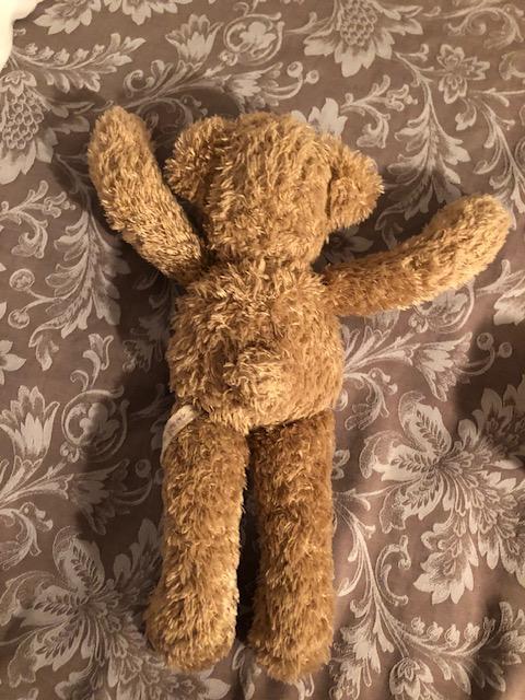 troc de troc nounours du pareil au même 19cm assis image 1