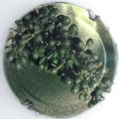 troc de troc capsule champagne générique 710 c image 0