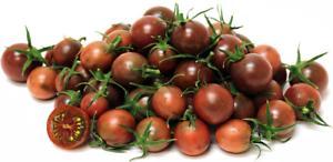 troc de troc tomate black cherry image 1