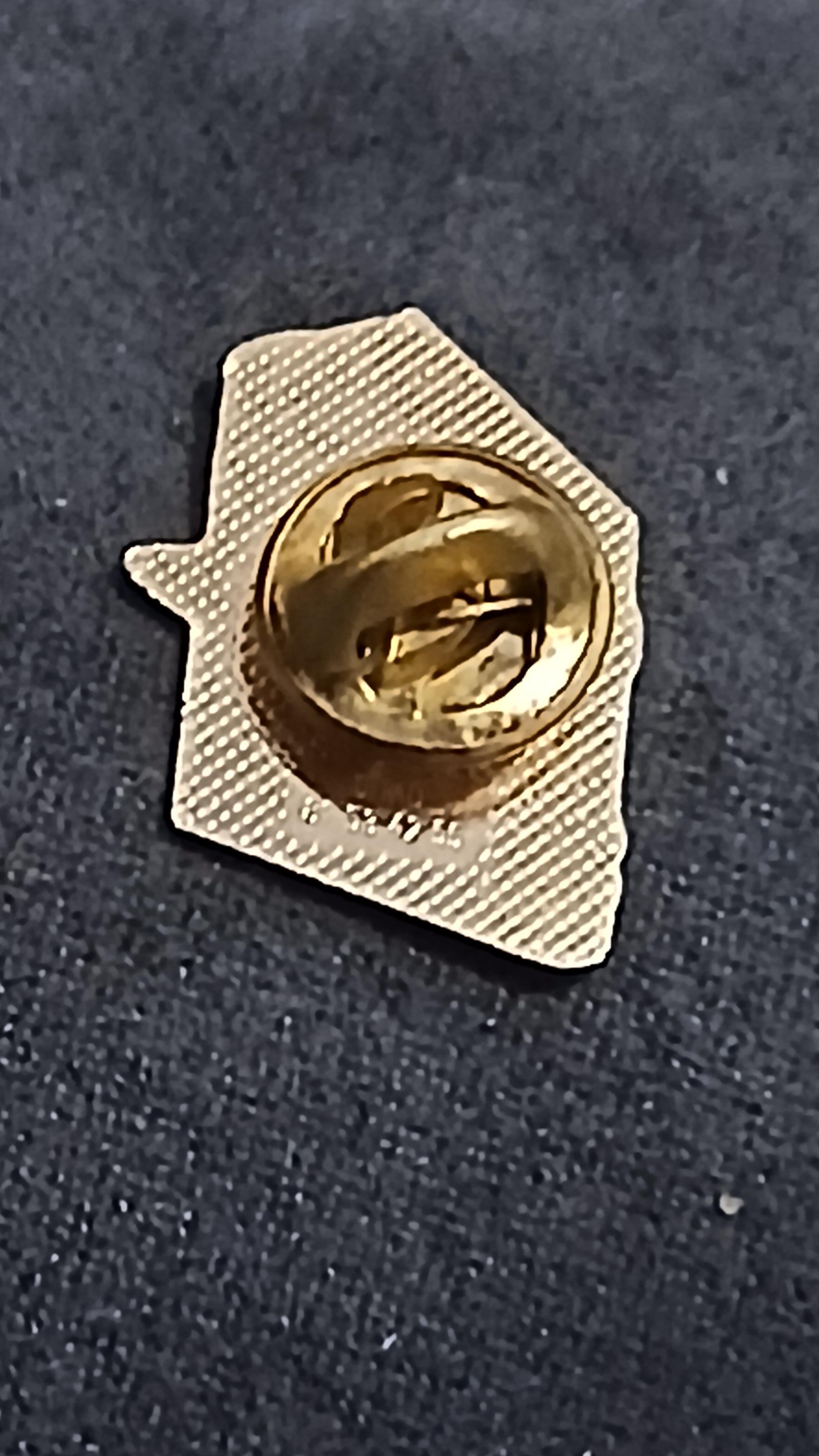 troc de troc un pins image 1