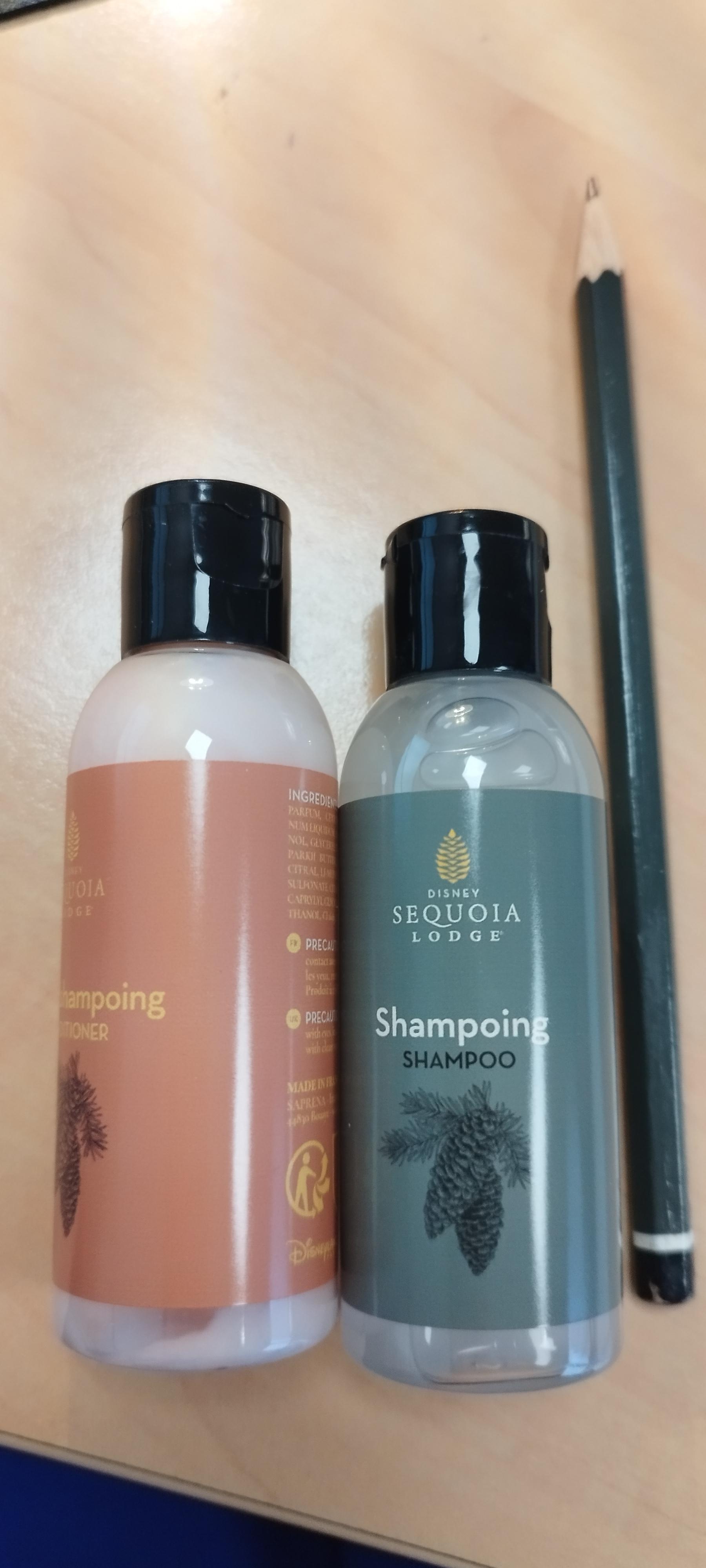 troc de troc 2 flacons d'hôtel disneyland image 0