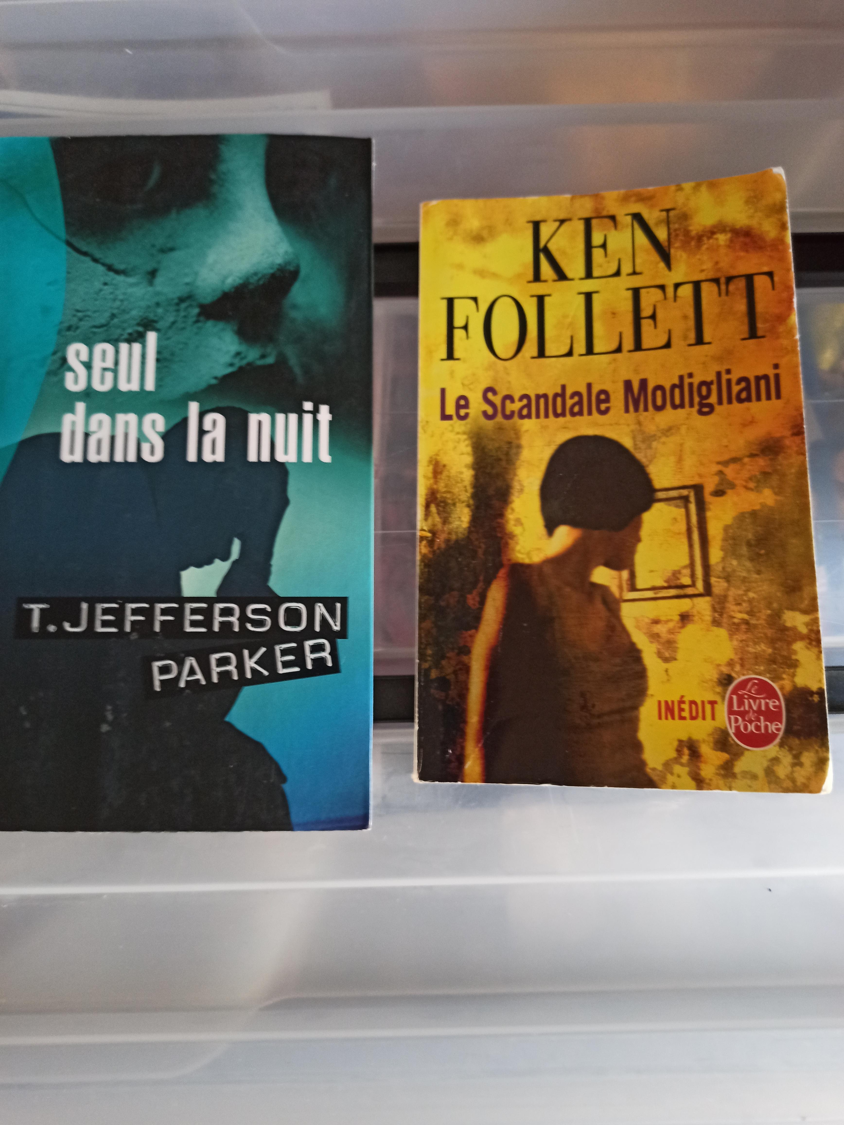 troc de troc 2 livres policiers dont un grand format image 0