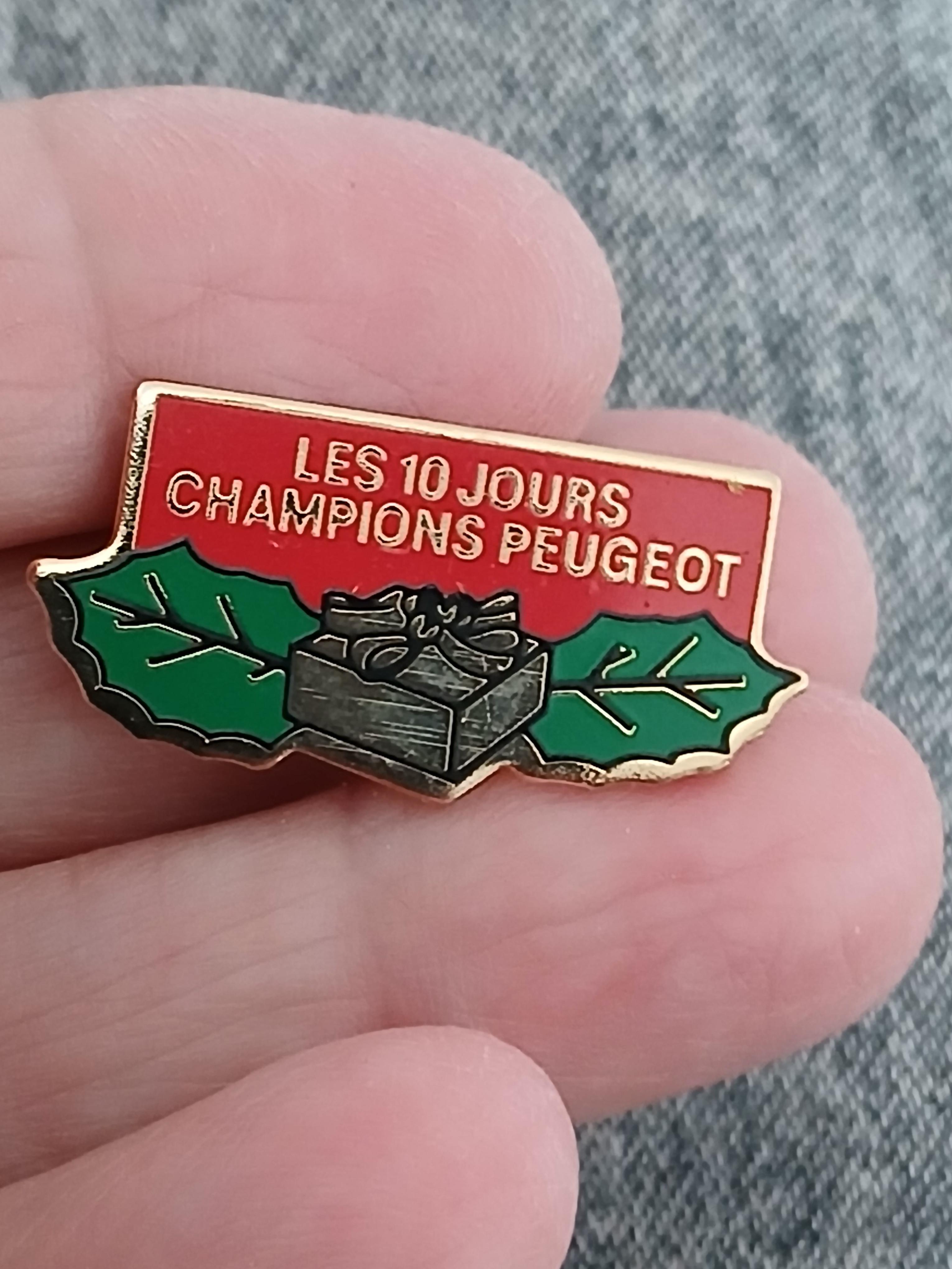 troc de troc reserver sophie  un pins image 0