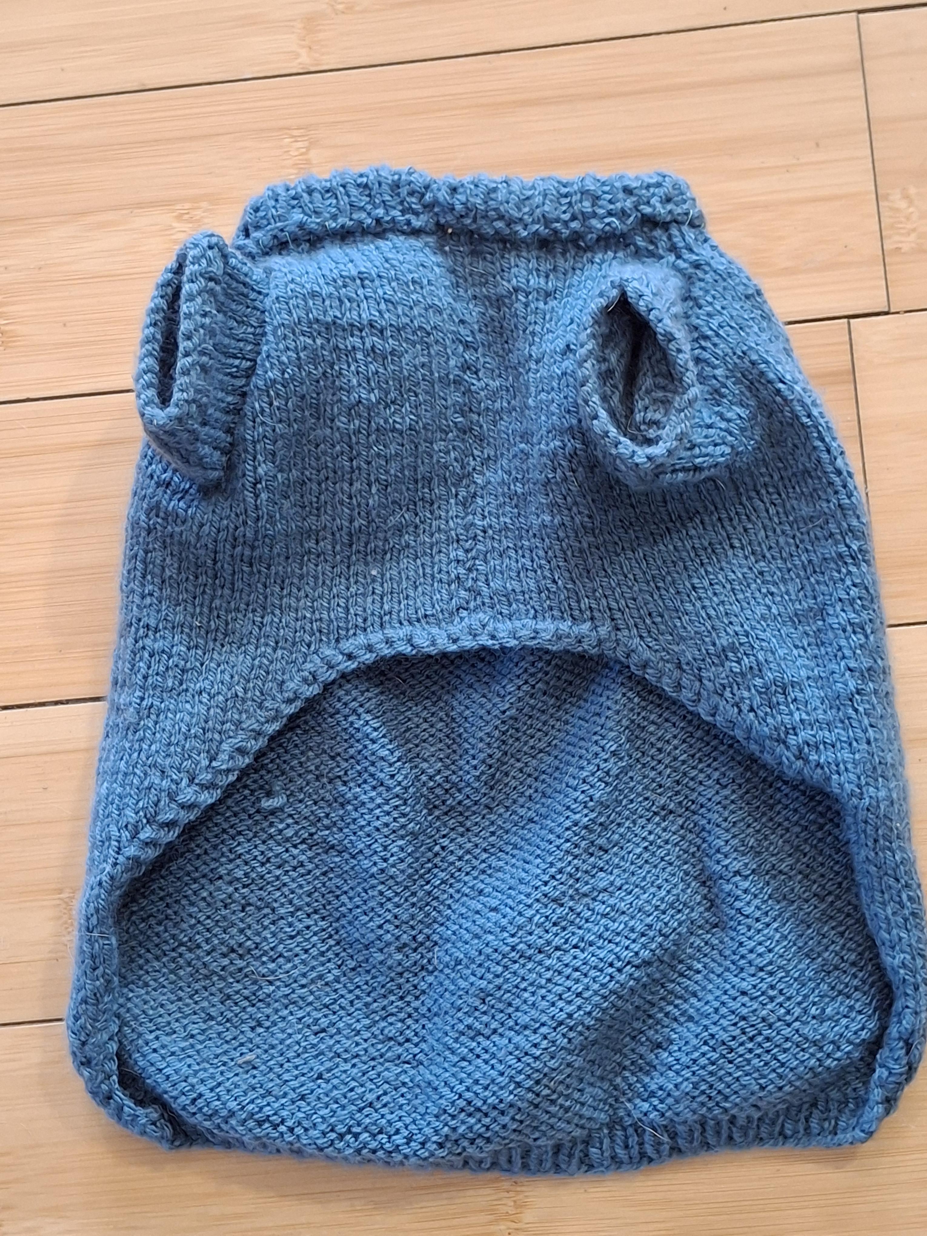 troc de troc manteau chien image 1