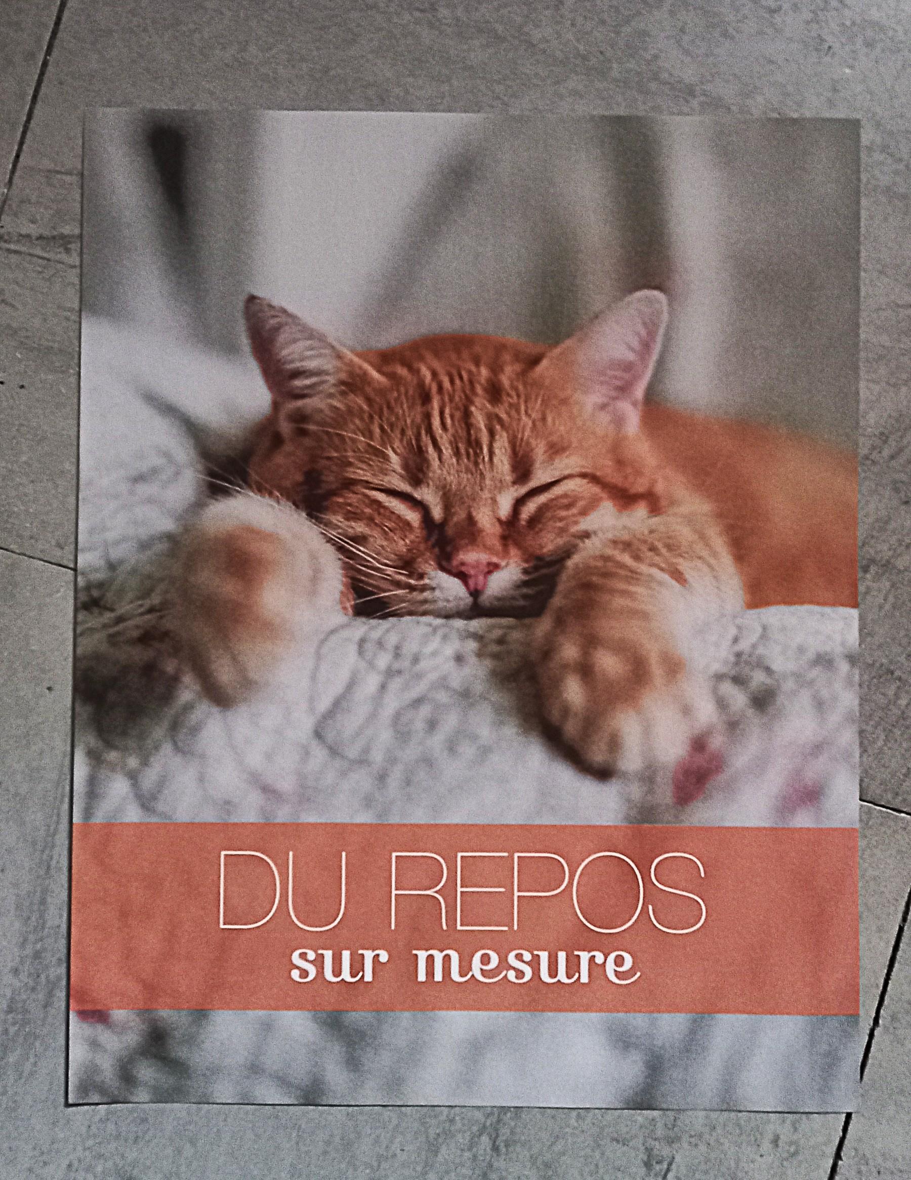 troc de troc affiche "du repos sur mesure". image 0