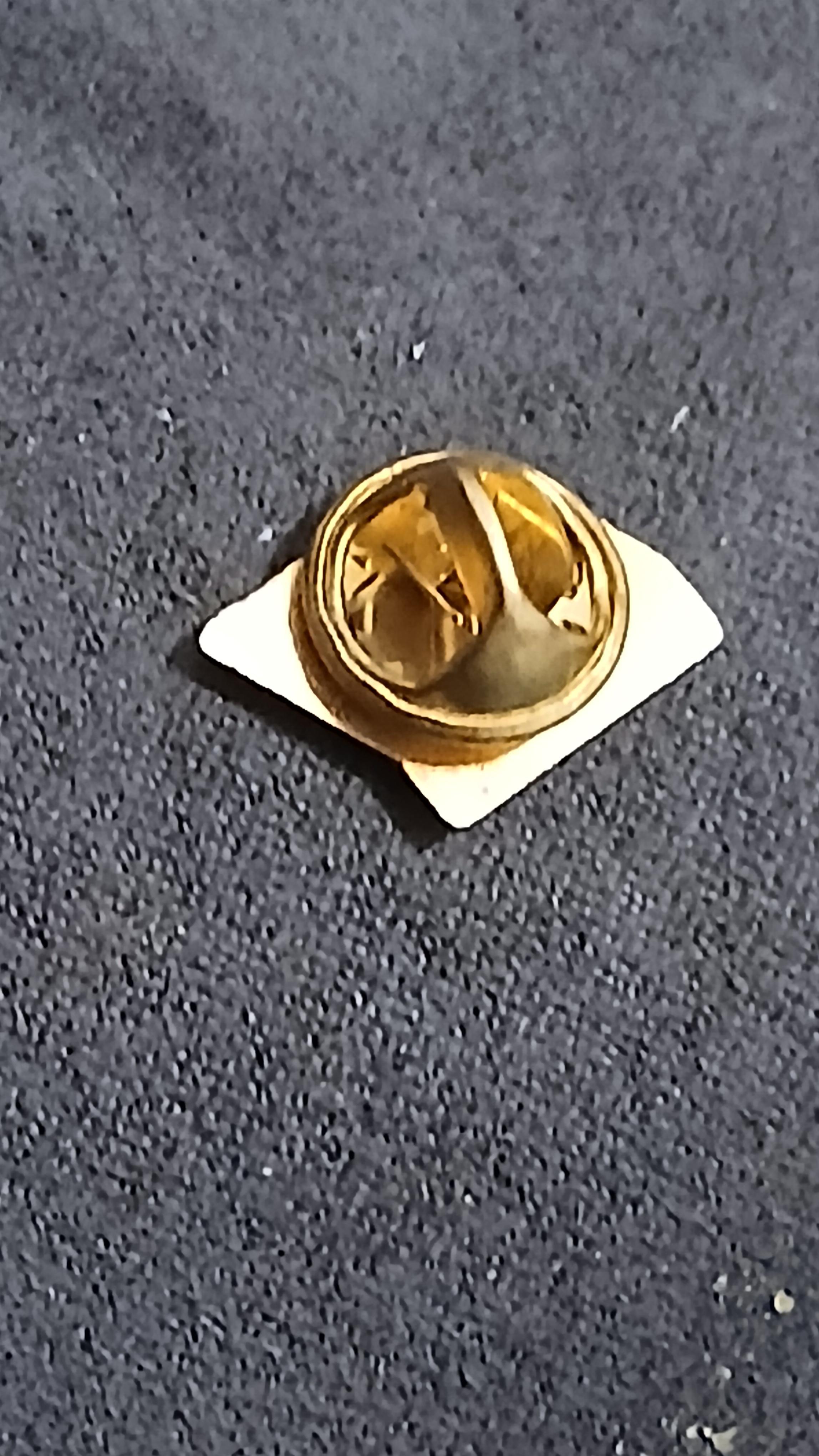 troc de troc un pins image 1